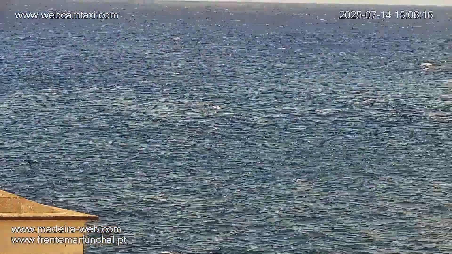 Fortim/Jardim do Lido Gardens Live PTZ Live Cam - Funchal, Madeira, Portugal