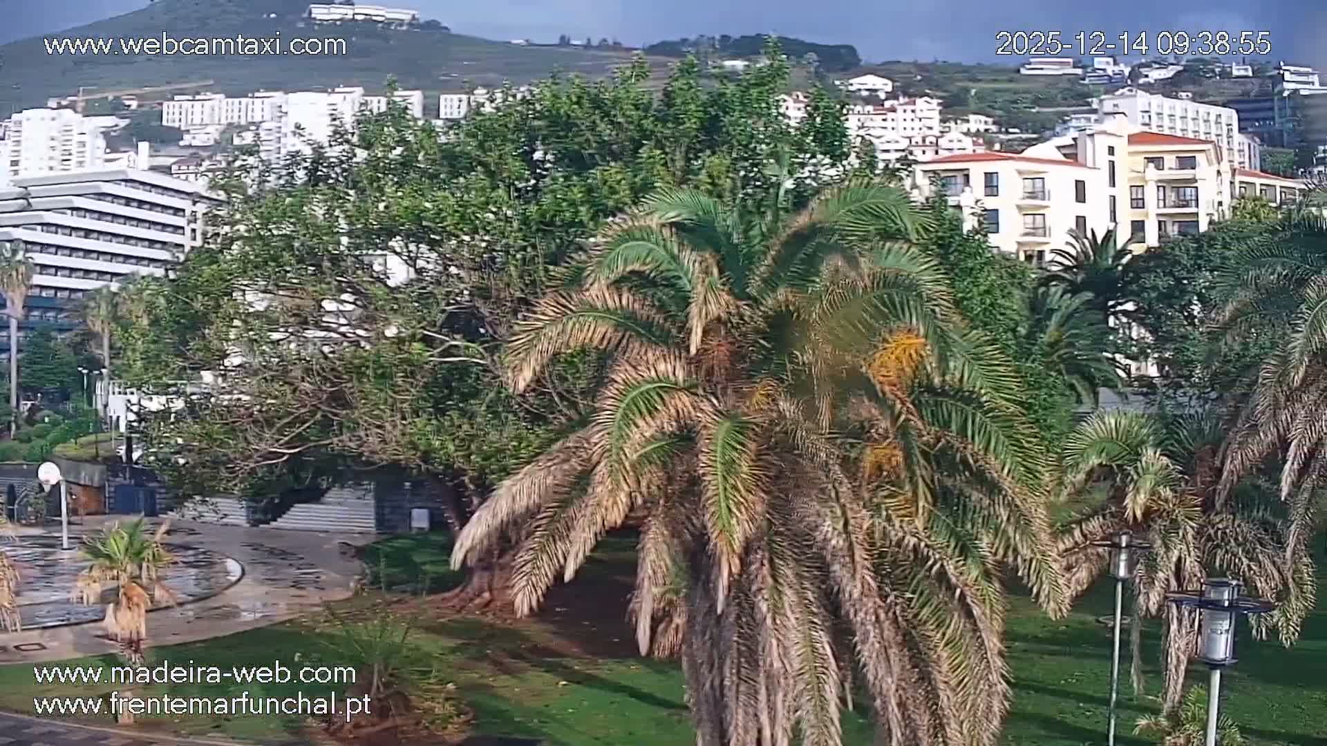 A modern coastal city, built into a lush green hillside dotted with multi-story buildings and palm trees, overlooks a dark, calm body of water with a white building on its shore and a patterned circular plaza in the foreground, all under an overcast sky.