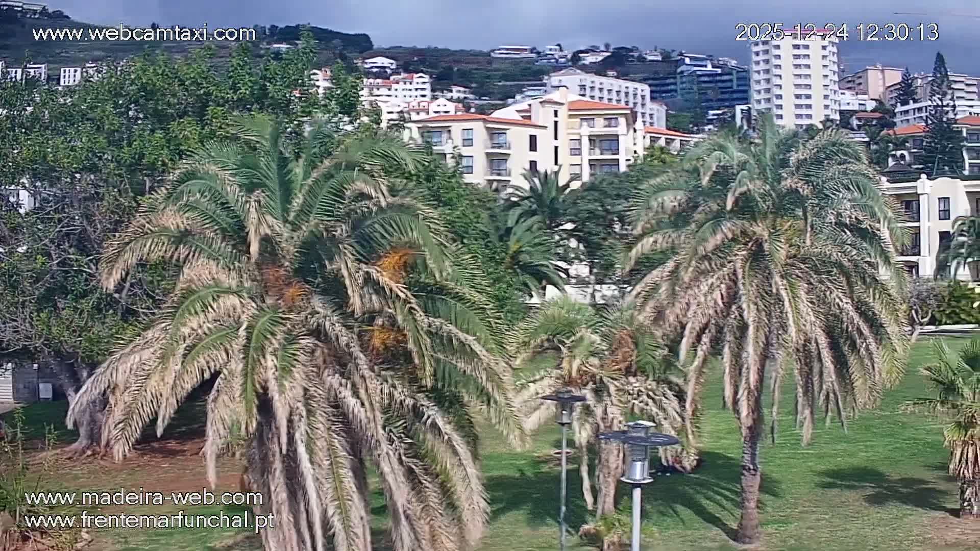 Fortim/Jardim do Lido Gardens Live PTZ Live Cam - Funchal, Madeira, Portugal