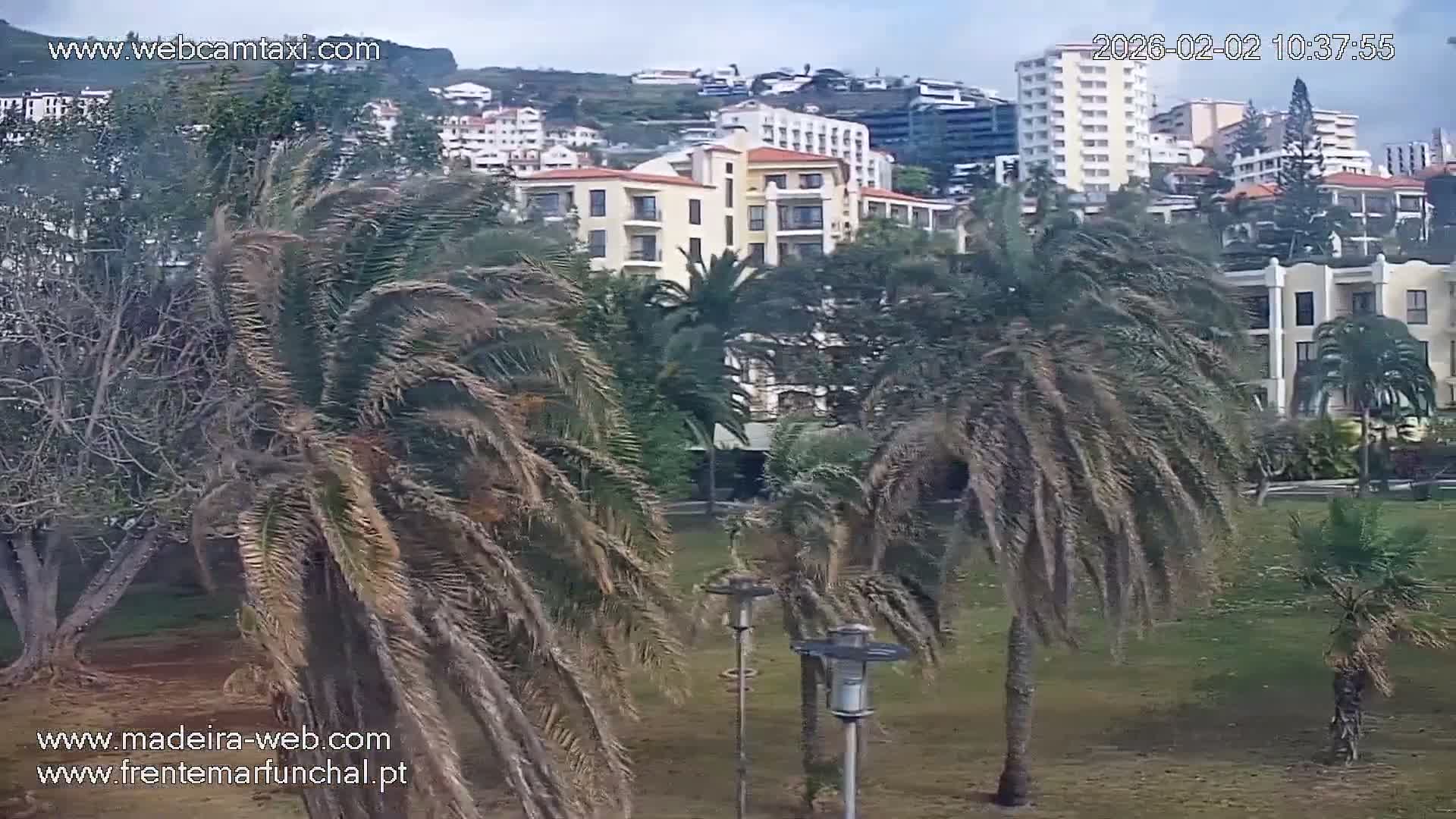Fortim/Jardim do Lido Gardens Live PTZ Live Cam - Funchal, Madeira, Portugal