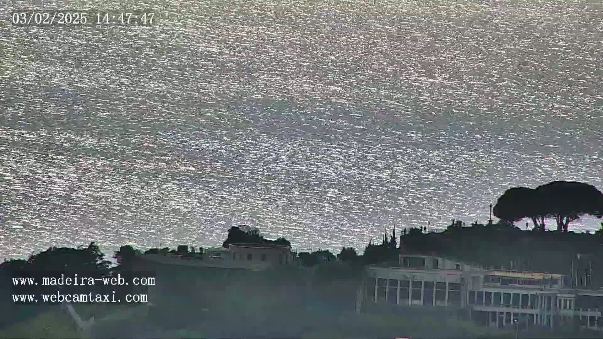 A sparkling body of water stretches to the horizon, with silhouetted buildings and trees visible on the shoreline under a bright sky.