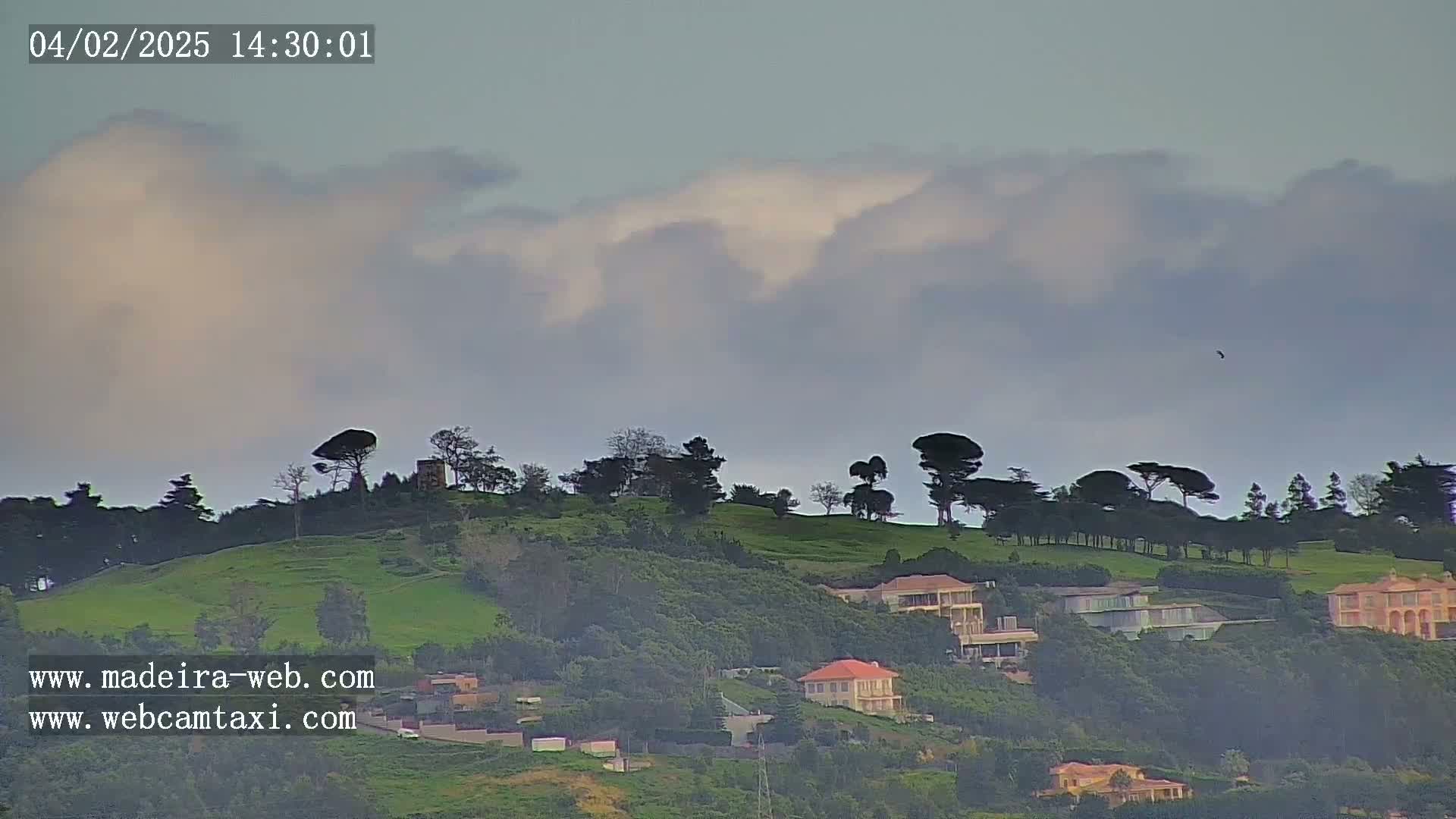 A hillside dotted with houses and trees under a cloudy sky.