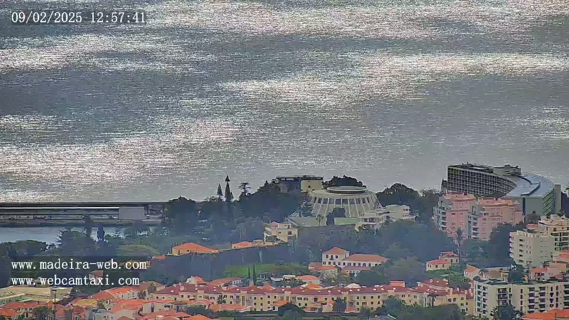 A coastal city with numerous buildings is shown, overlooking a calm, sunlit ocean.