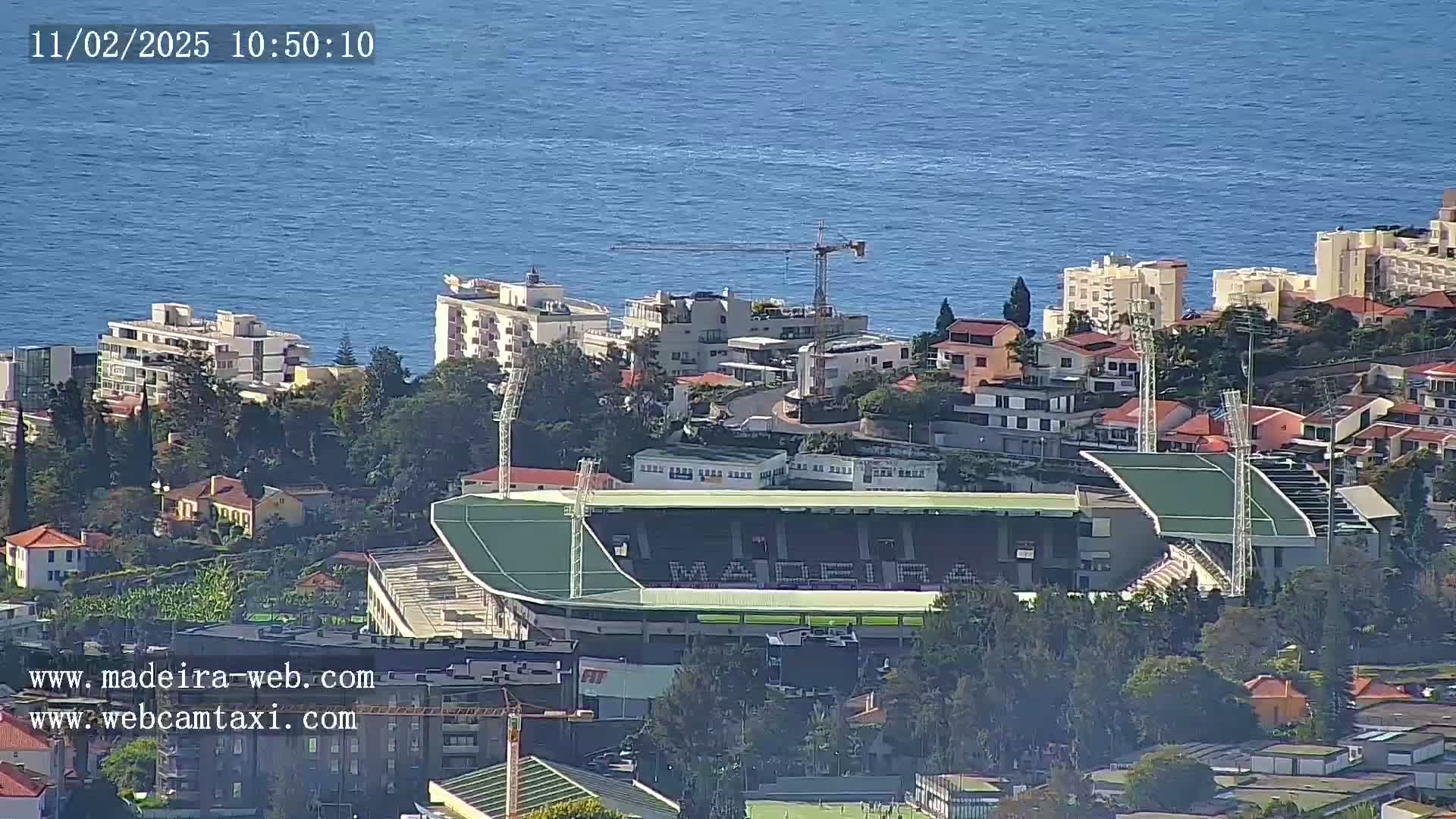 A green stadium sits amidst residential buildings overlooking a calm ocean on a sunny day.