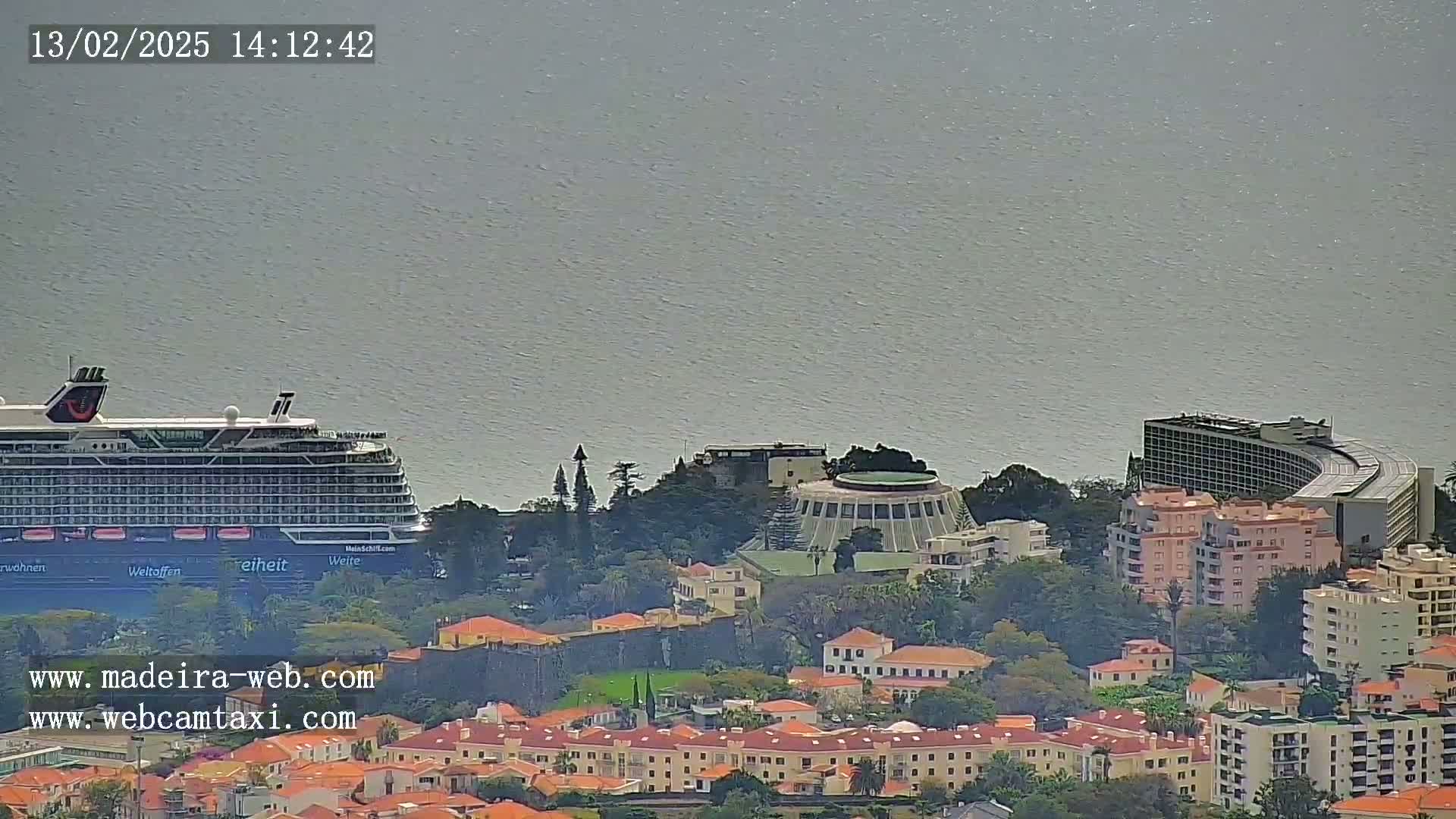 A large cruise ship is docked near a coastal city with buildings and trees under a somewhat overcast sky.