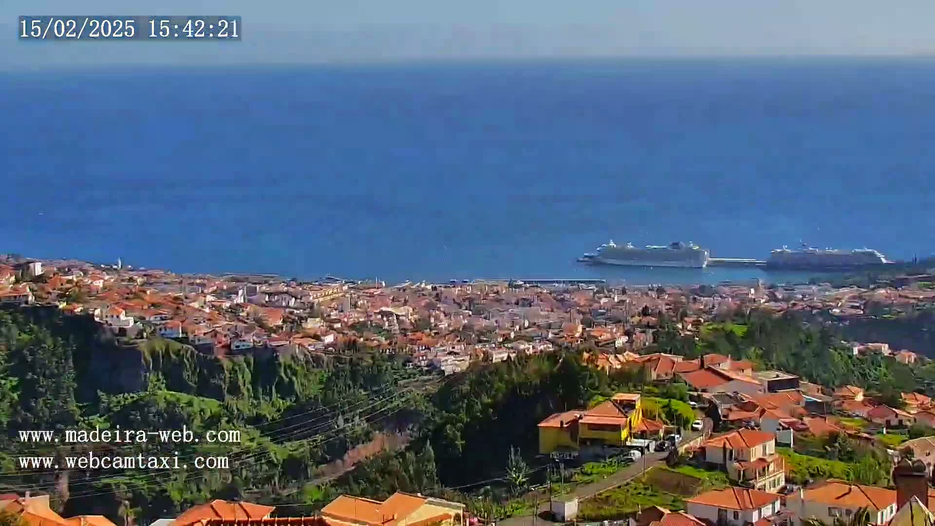 A coastal town with red-tiled roofs sits on a hillside overlooking a calm blue ocean where two cruise ships are docked.