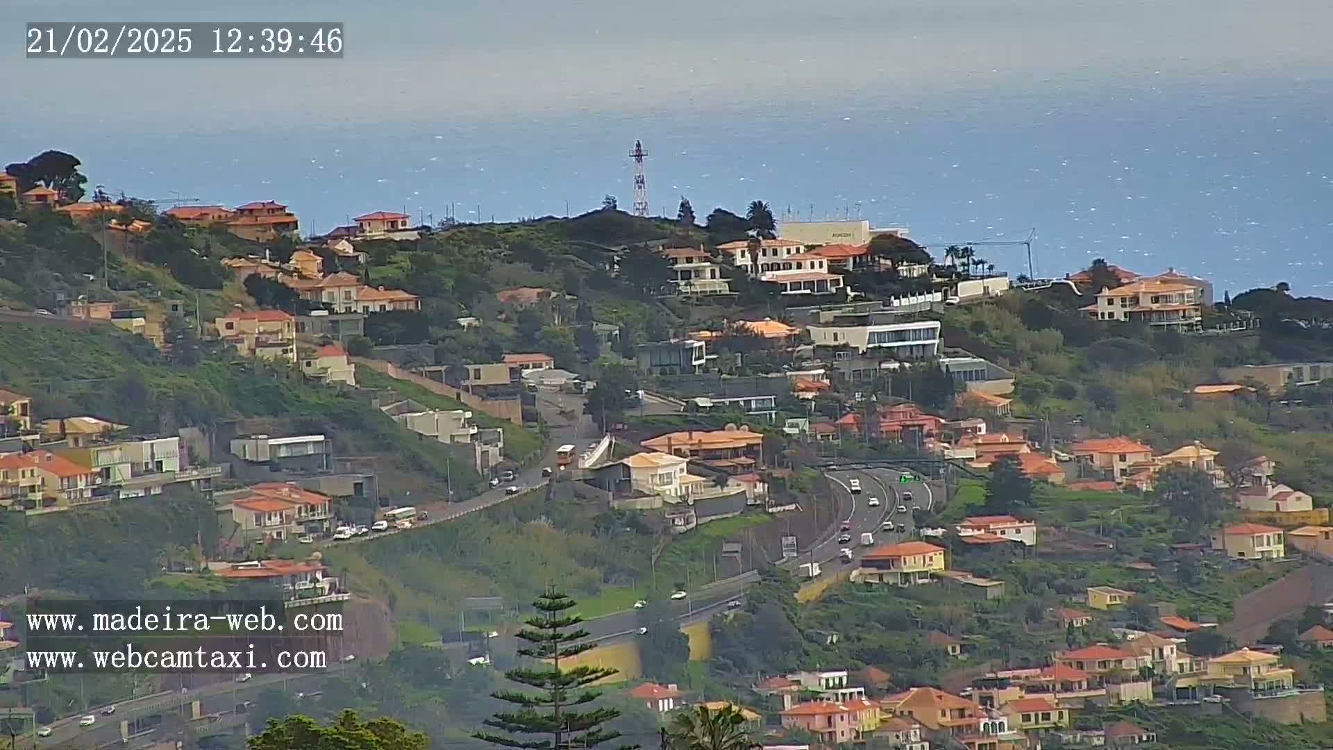A hillside covered in houses overlooks a calm ocean under a hazy sky.