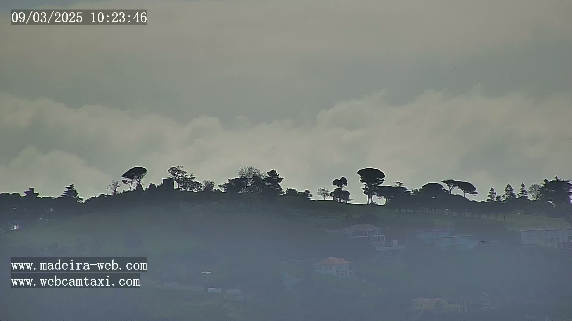 A hazy, overcast sky hangs over a hilltop silhouetted with trees and a few buildings below.