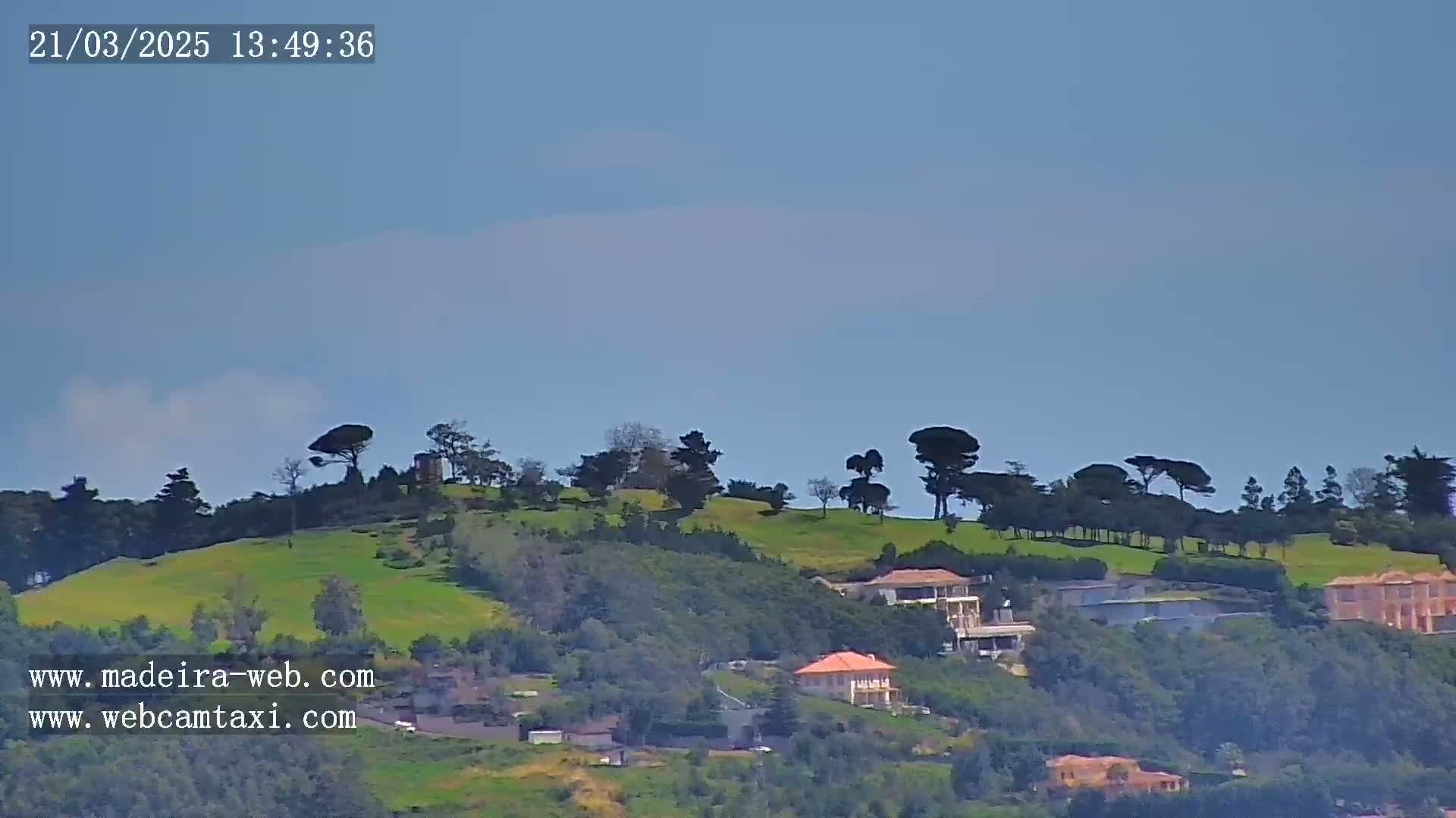 A verdant hillside dotted with trees and houses under a clear, light-blue sky.