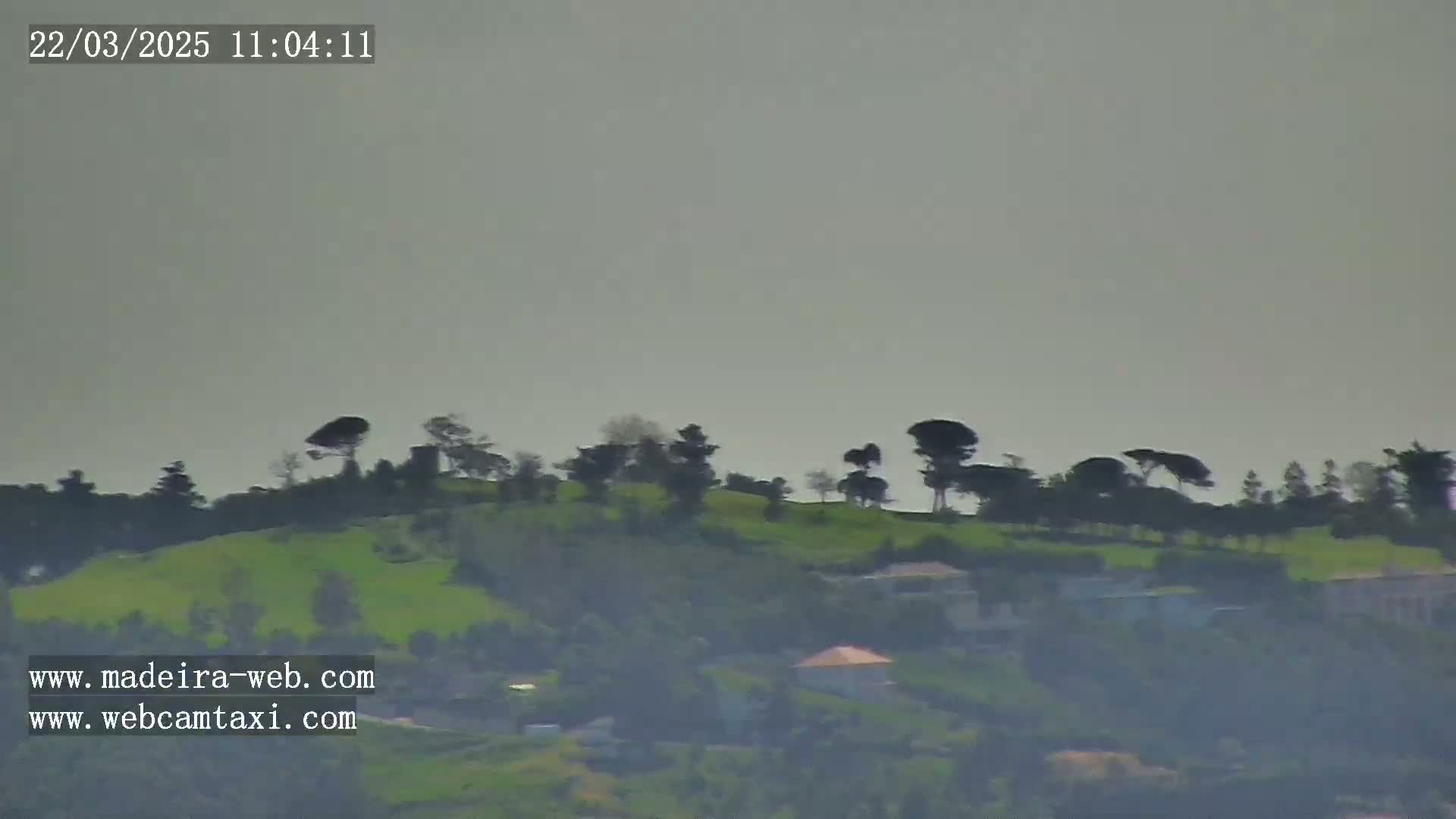 A hazy, overcast day reveals a gently sloping green hill dotted with trees and a few buildings nestled amongst more foliage in the distance.