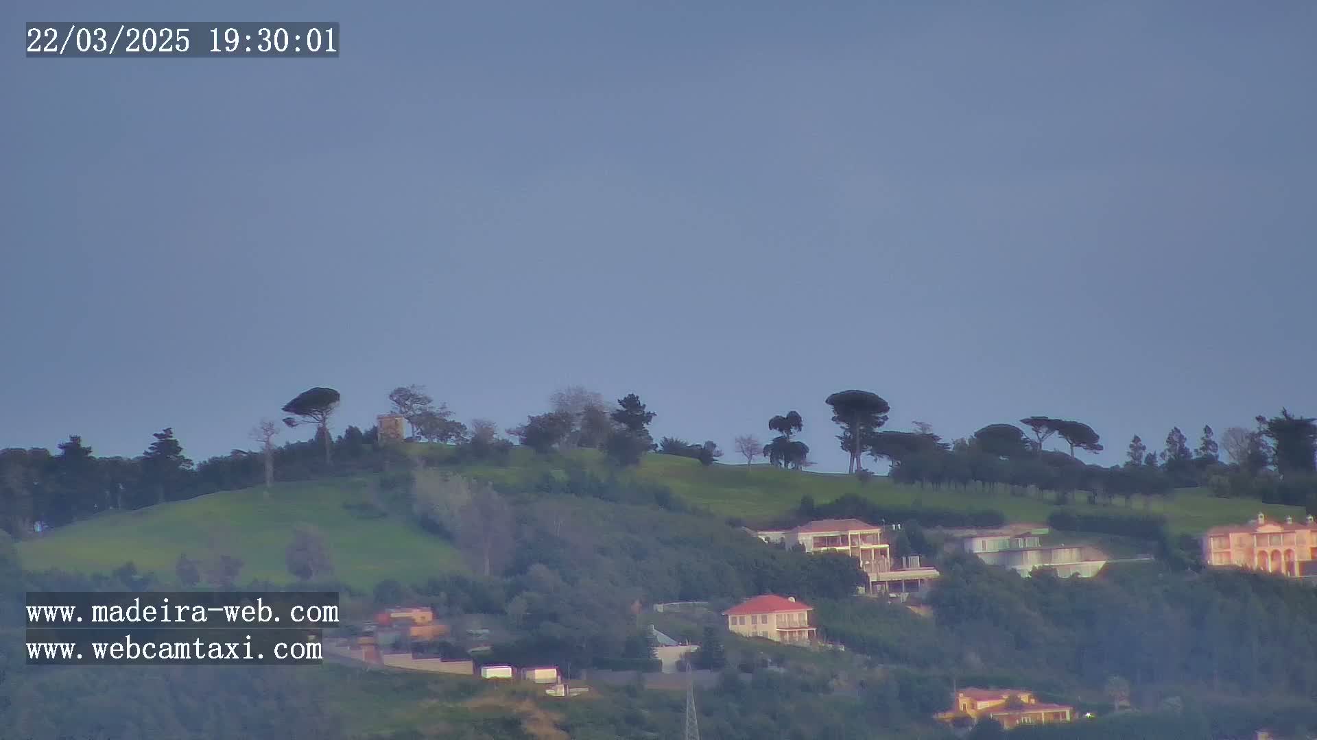 A hazy, dusk-lit hillside dotted with houses and tall, dark trees.
