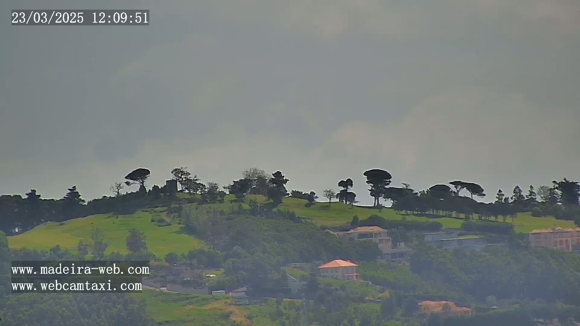 A hazy, overcast day reveals a hillside dotted with trees and several buildings nestled among lush green vegetation.