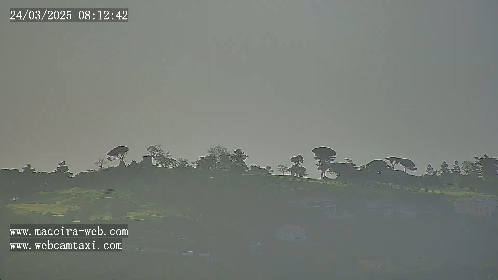 A hazy, gray day reveals a gently sloping hill dotted with dark green trees and a few buildings in the distance.