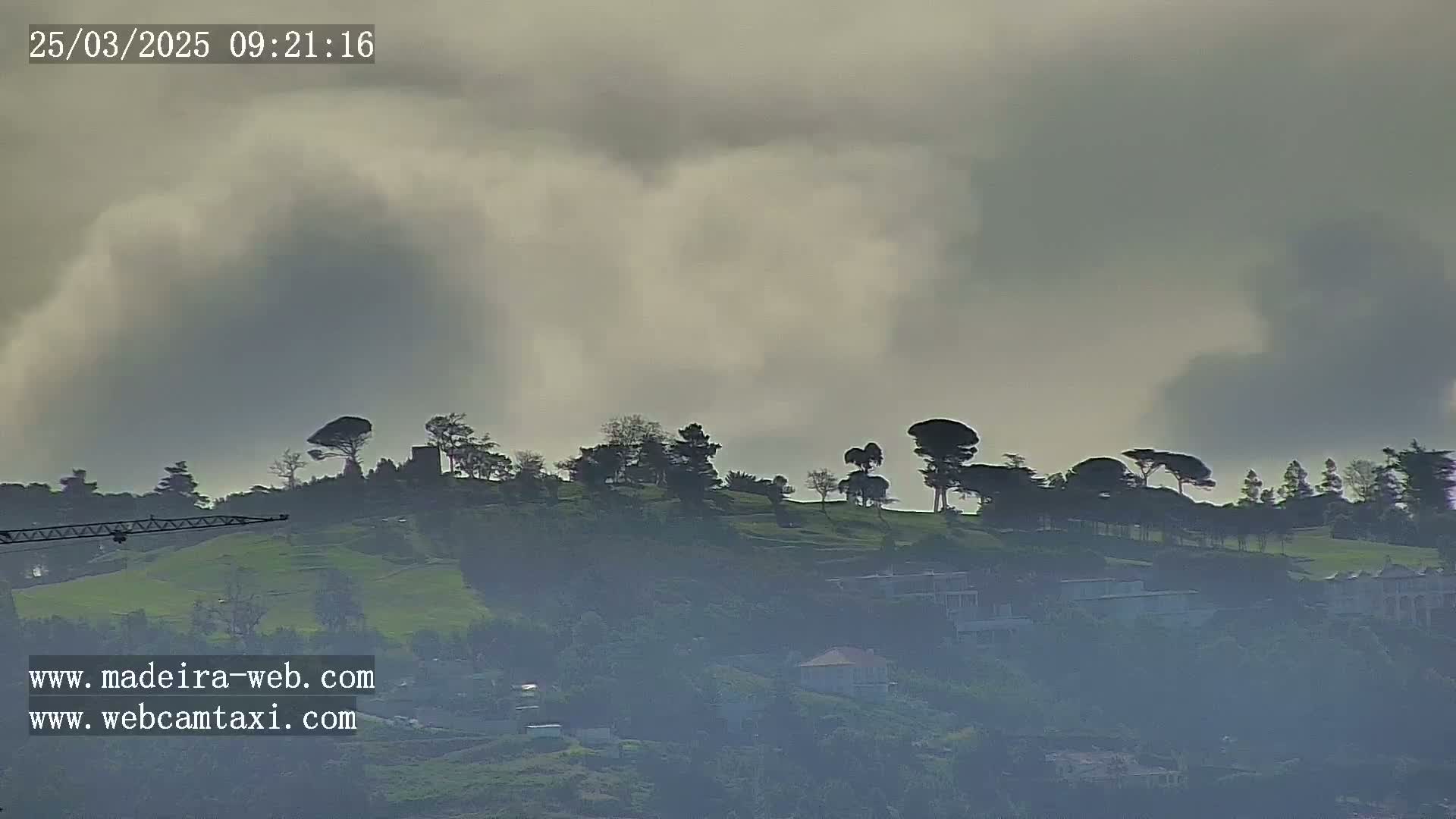 A hazy, overcast sky hangs over a hillside dotted with trees and a few buildings.