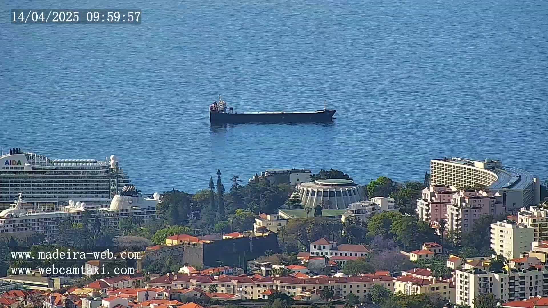 A cargo ship and a cruise ship are visible in a calm blue ocean near a coastal city with numerous buildings, under a clear sky.