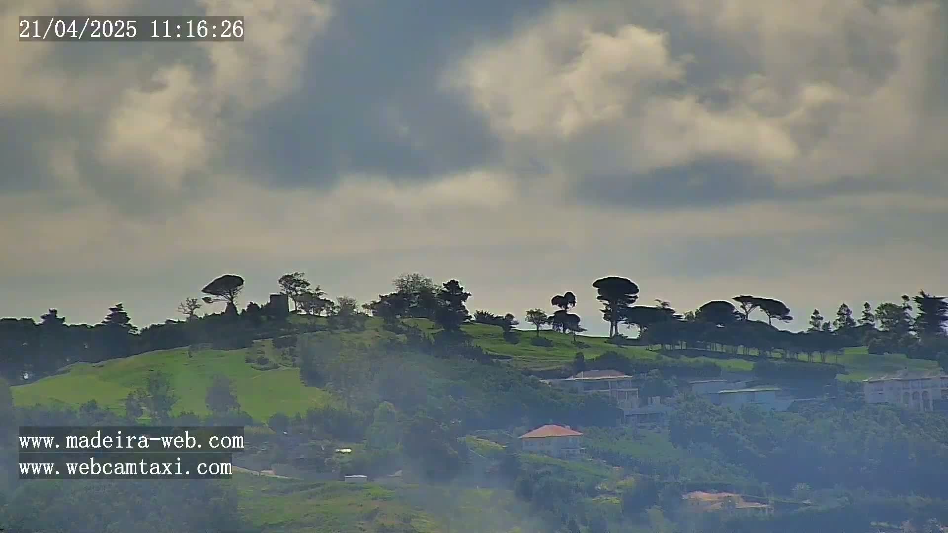 A hazy, cloudy sky overlooks a verdant hillside dotted with trees and a few buildings.