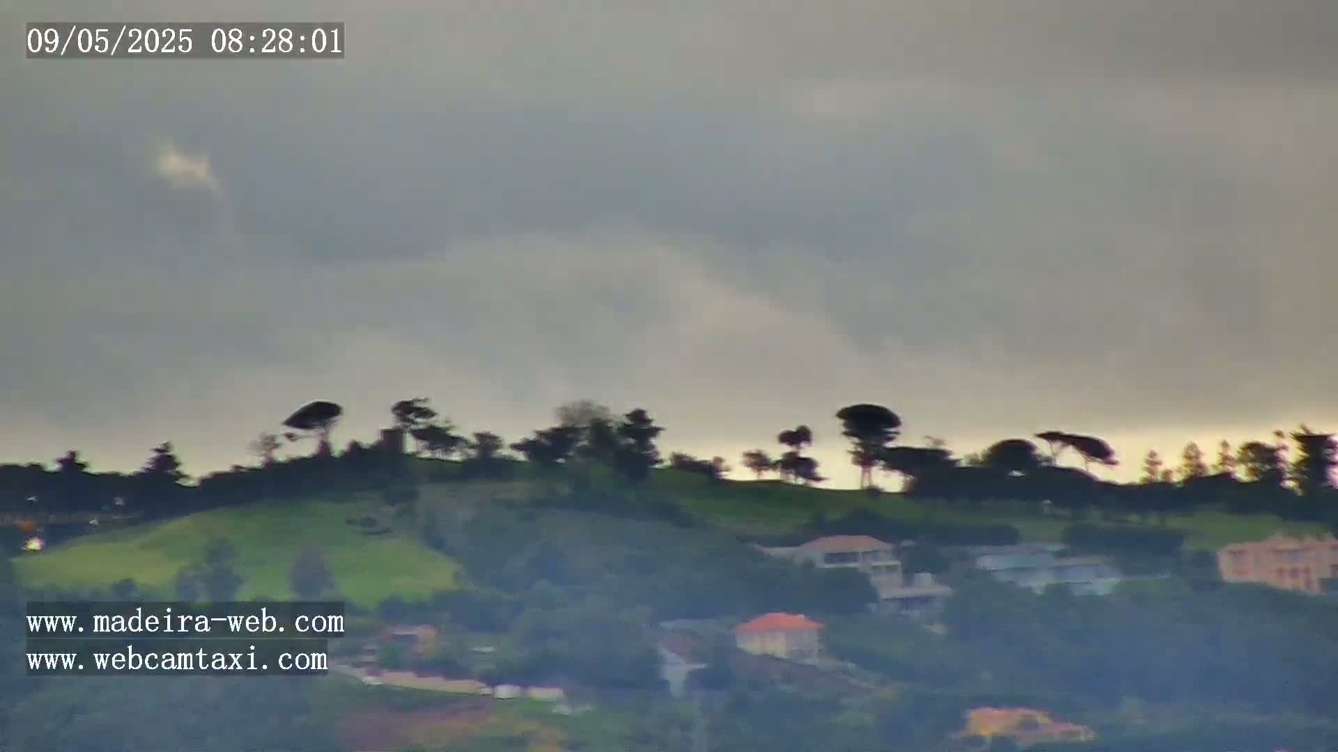 Under an overcast sky, a hazy view shows a hillside dotted with trees and houses.