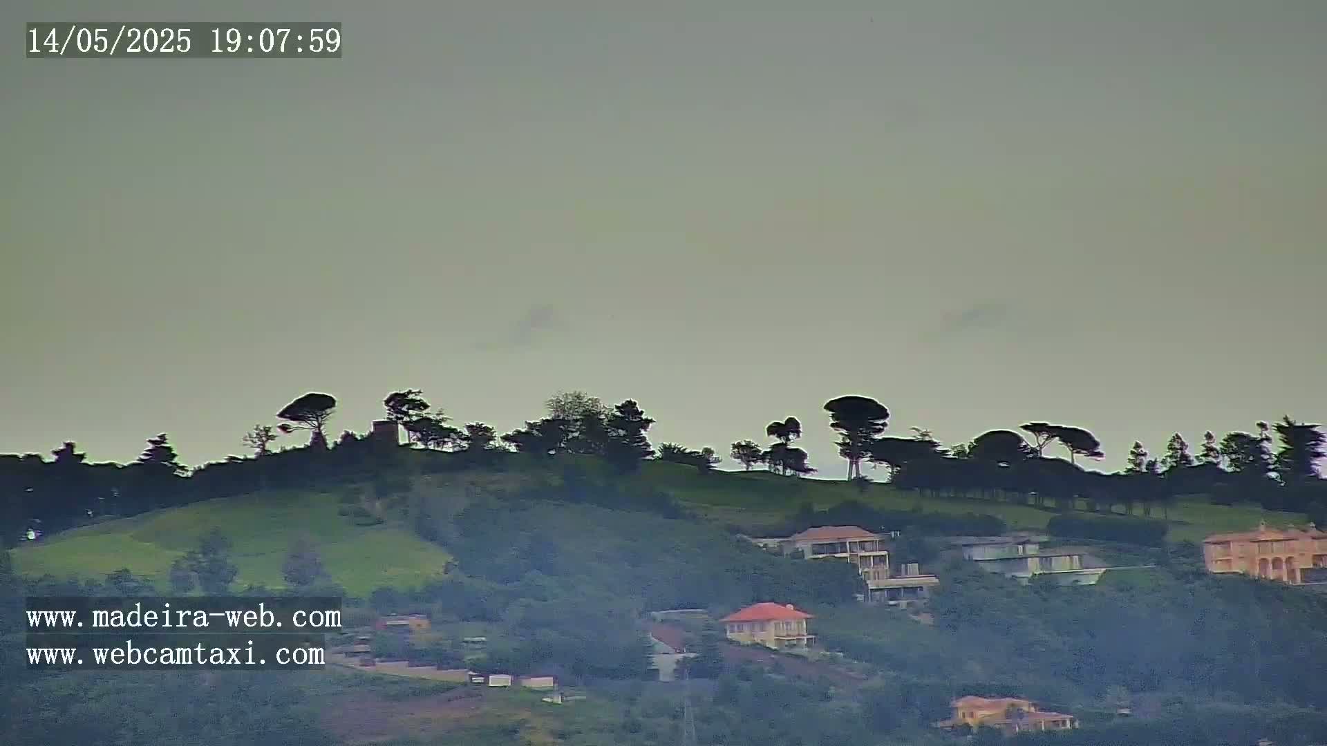 A hazy, overcast sky hangs over a hill dotted with houses and dark green trees.