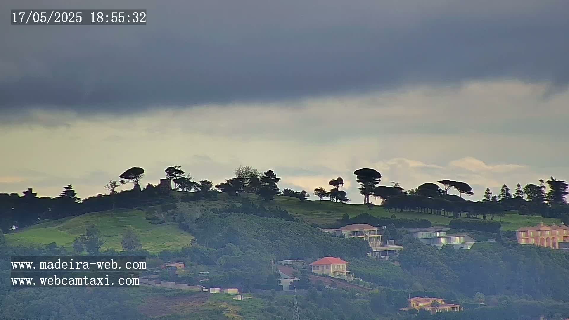 A hillside dotted with houses and dark green trees sits under a mostly cloudy, overcast sky.
