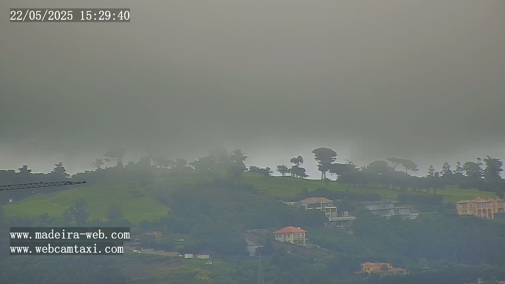A foggy landscape shows a hillside with houses and trees.