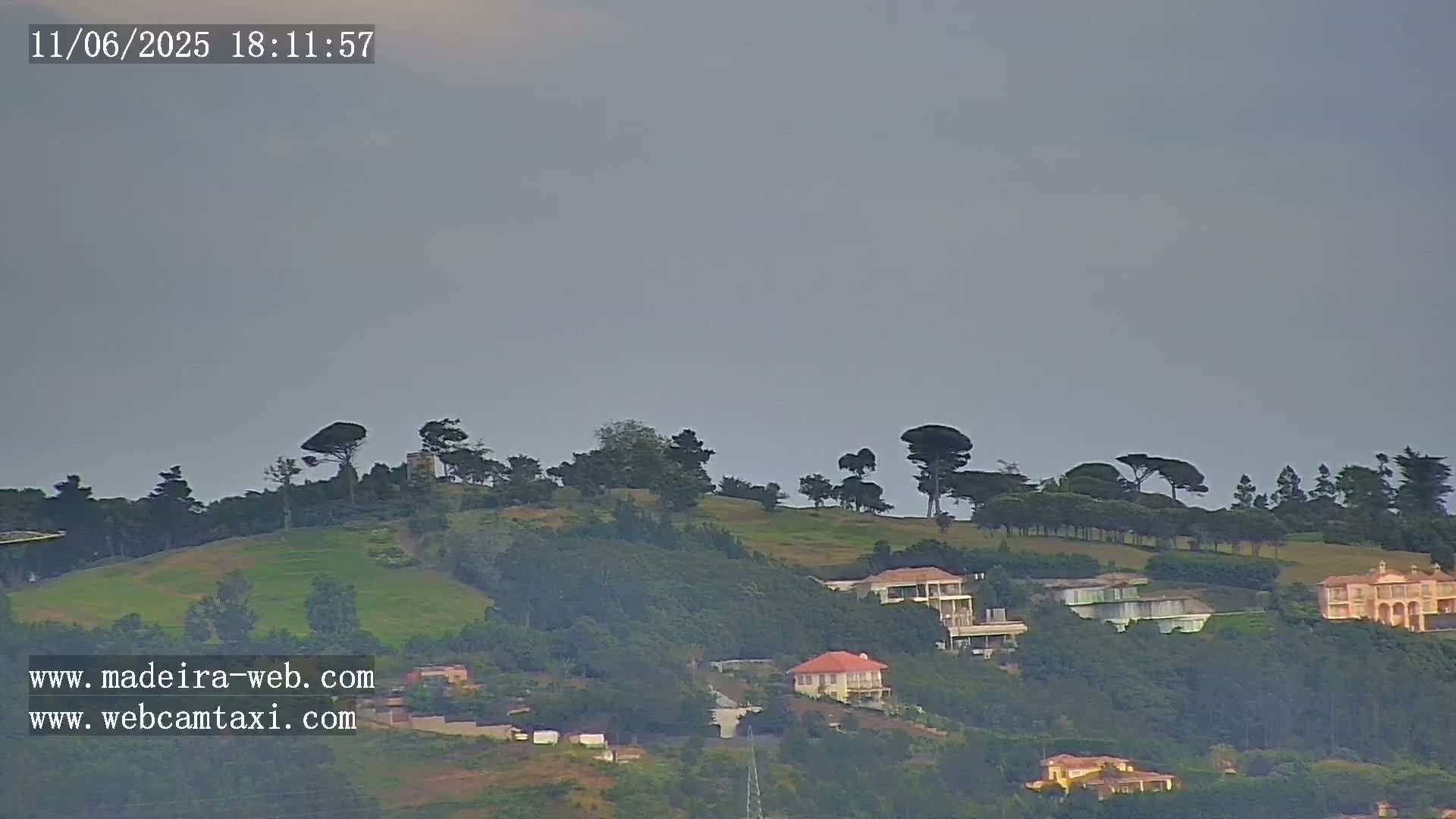 A hazy, overcast sky overlooks a verdant hillside dotted with houses and pine trees.