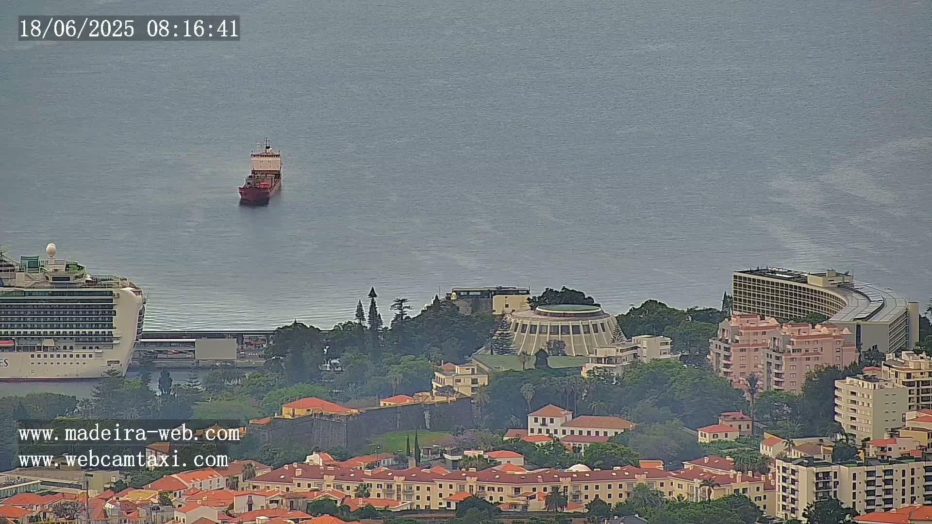 A cruise ship is docked near a coastal city under an overcast sky, with a cargo ship further out at sea.