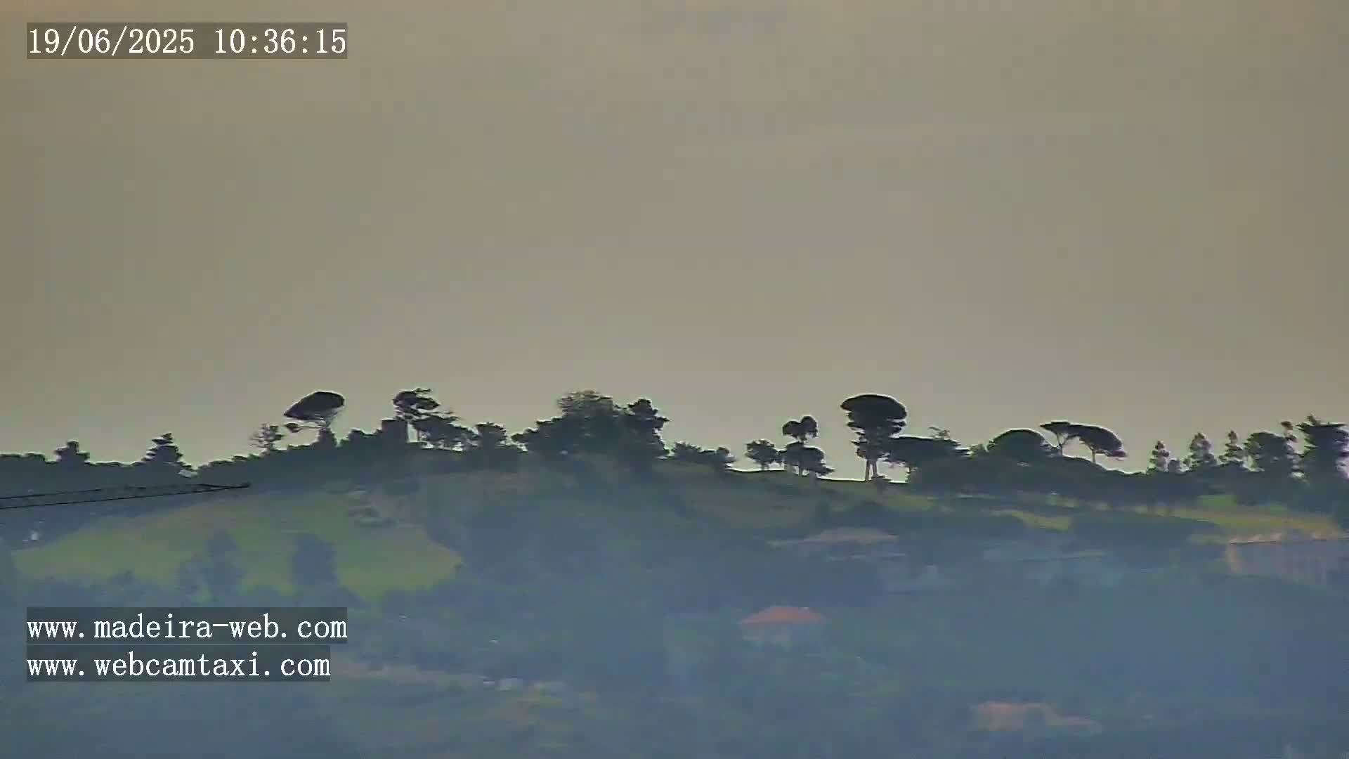 A hazy, overcast day reveals a distant hilltop covered in dark green trees and shrubs, with a few buildings barely visible in the fog below.