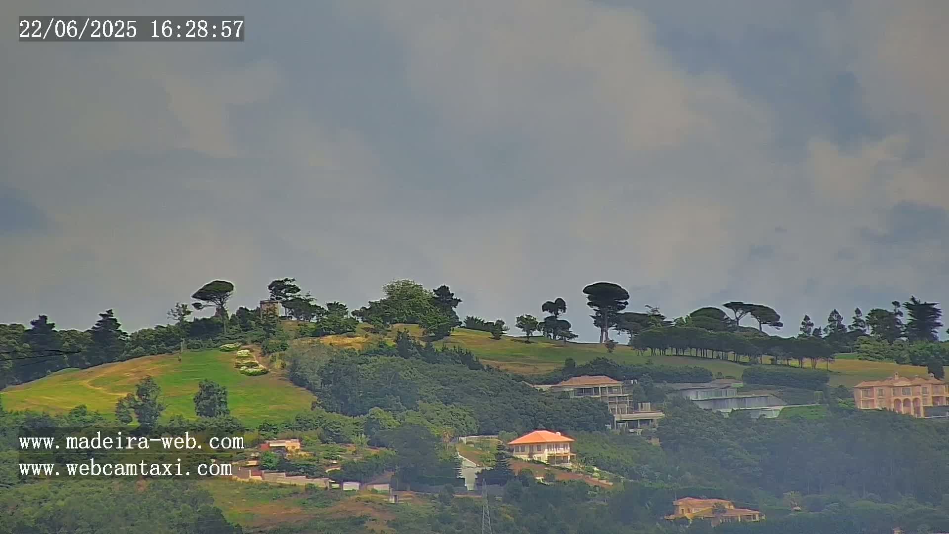 A mostly cloudy sky overlooks a verdant hillside dotted with houses and tall, dark trees.