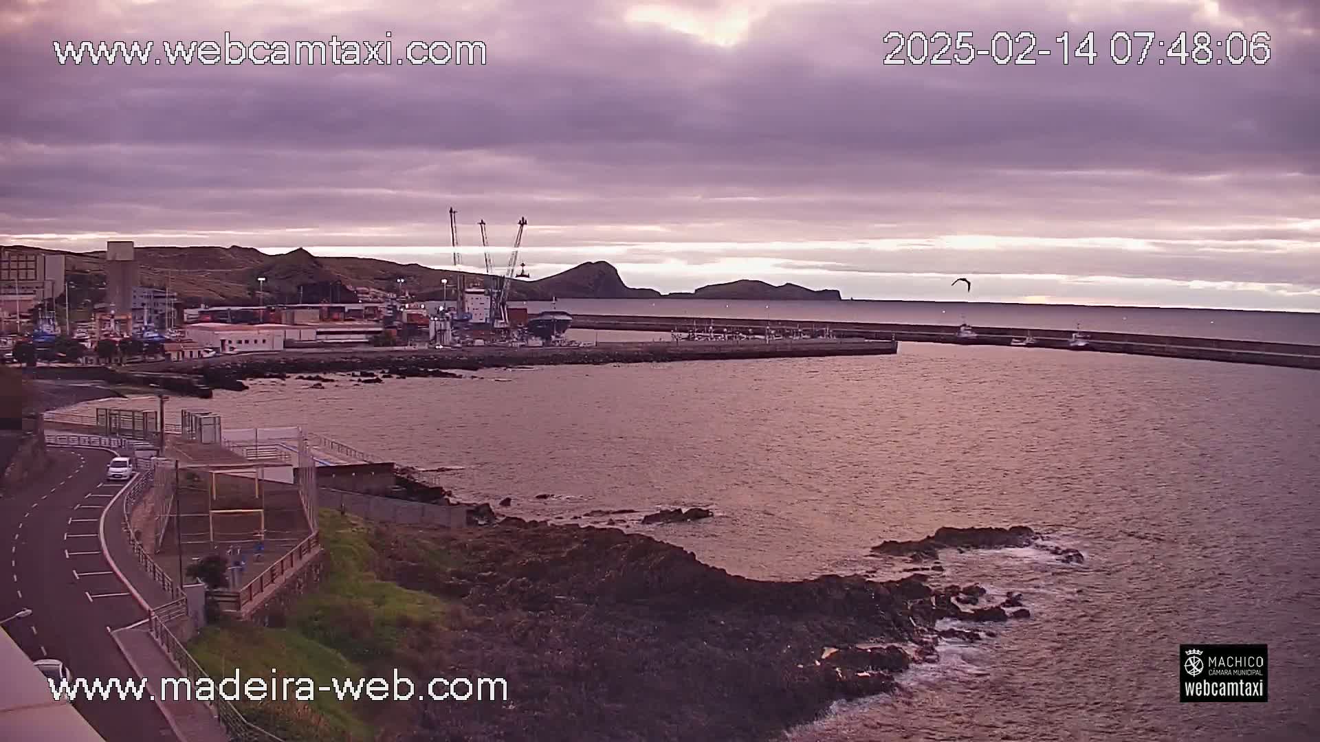 A harbor with a cargo ship and several smaller boats is seen under a cloudy, purplish sky.