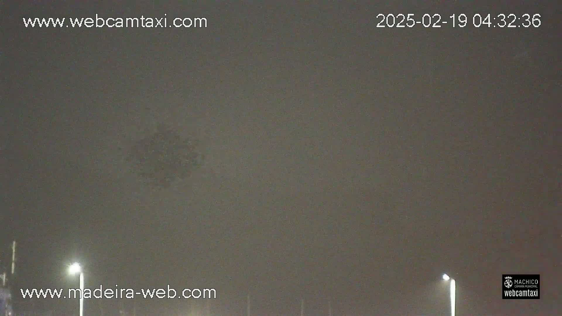 A dark, foggy night scene is illuminated by two distant streetlights.