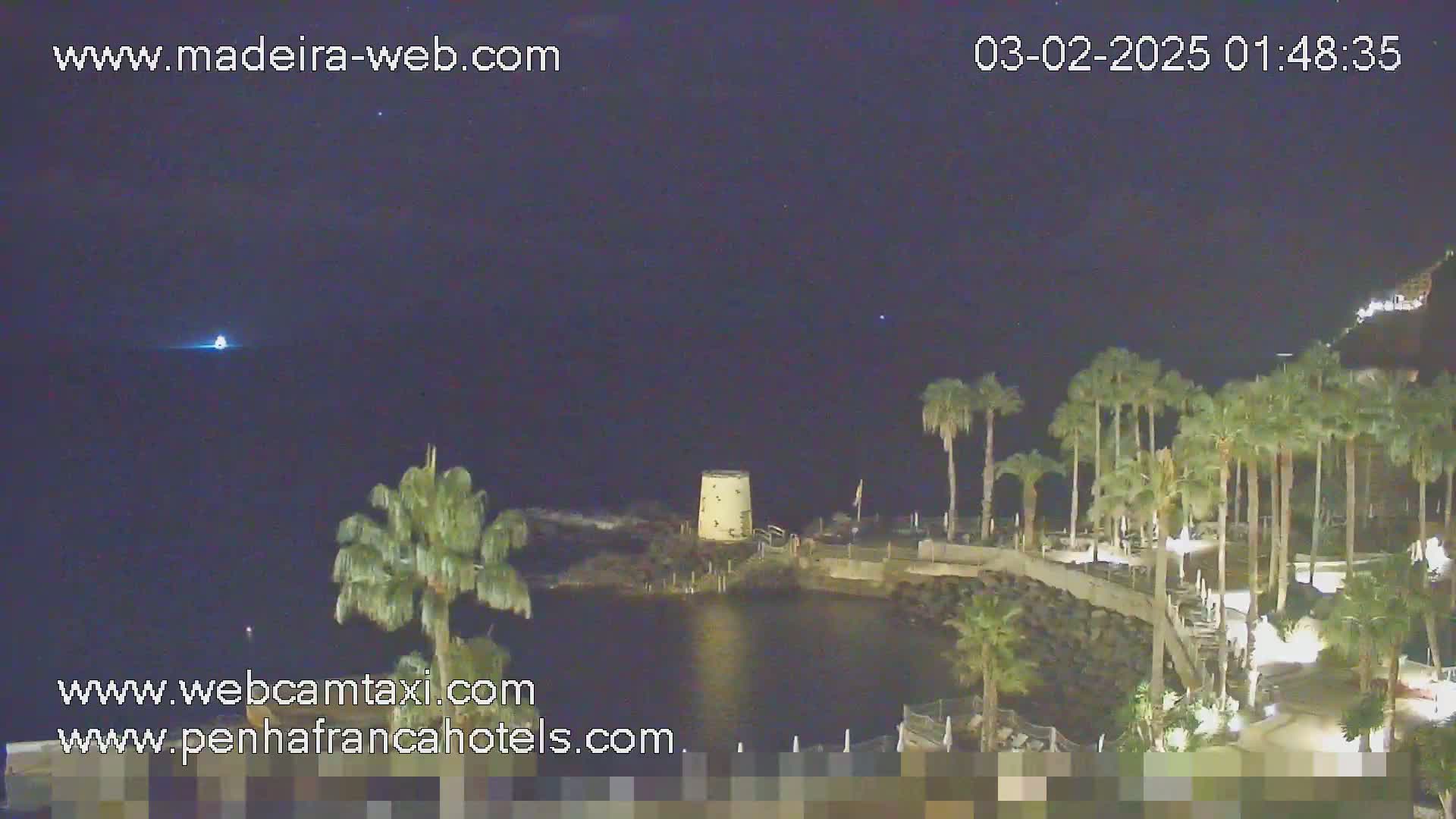 A nighttime seaside scene shows a calm body of water, palm trees, and a small tower under a clear, dark sky.