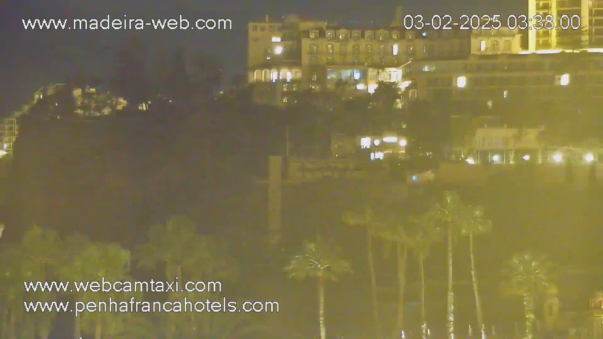 A nighttime view of a hillside with palm trees in the foreground and illuminated buildings on top of a hill in the background.