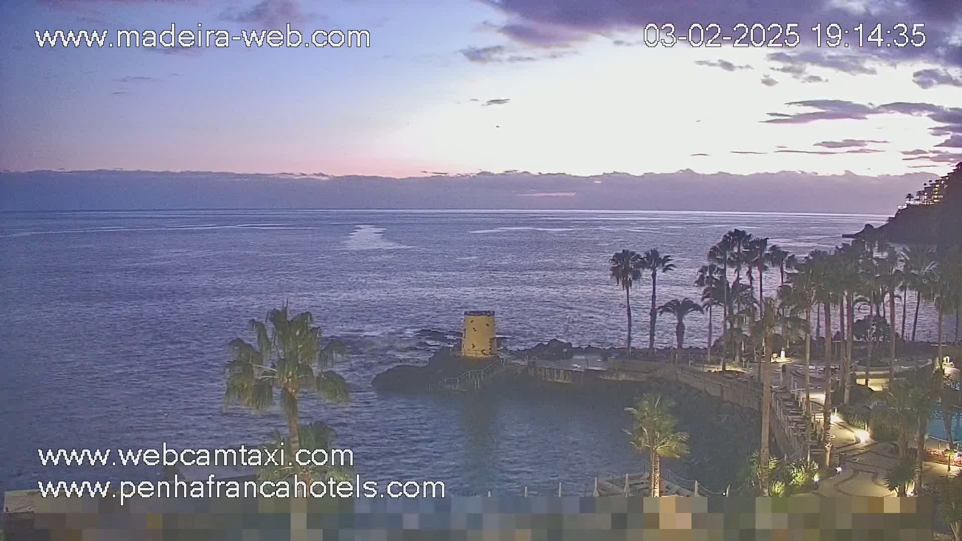 A tranquil ocean scene at dusk, with palm trees lining a rocky shoreline under a mostly clear, twilight sky.