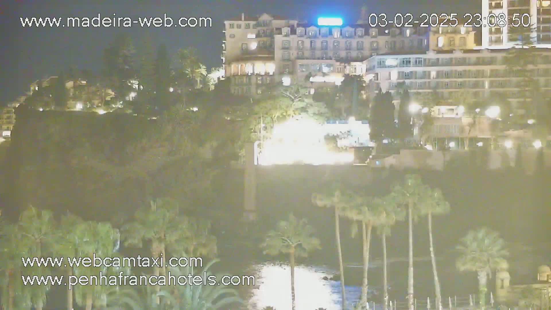 A nighttime view of a city with several buildings illuminated, palm trees in the foreground, and a calm body of water partially visible.