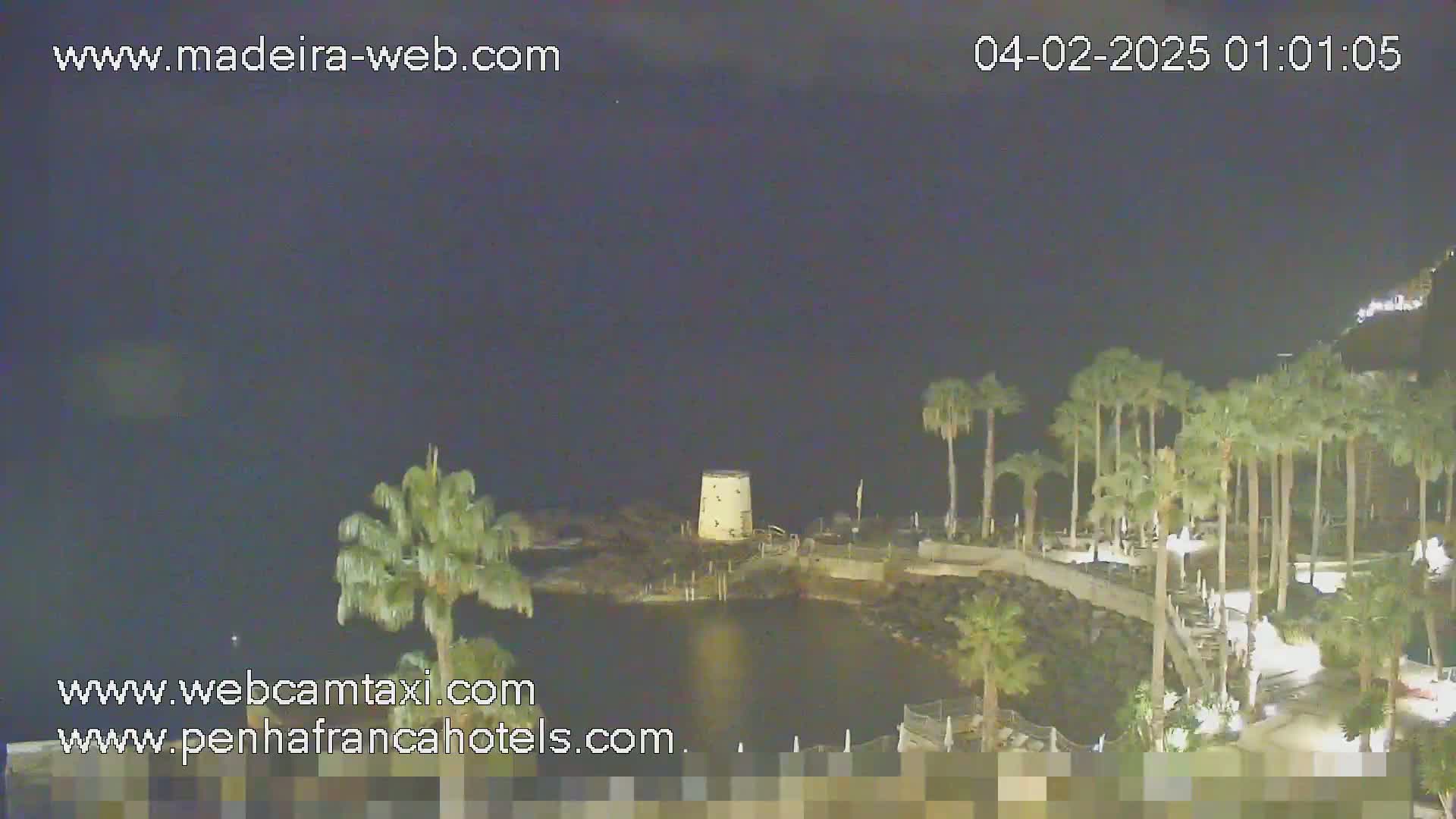 A nighttime view of a calm body of water, next to a shoreline with palm trees and a small tower, under a dark sky.