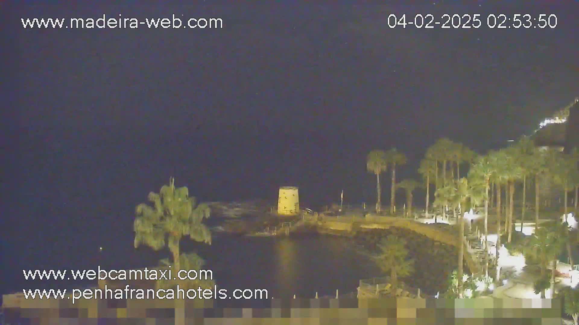 A nighttime view of a rocky coastline with palm trees, a small tower, and calm dark water under a clear, dark sky.
