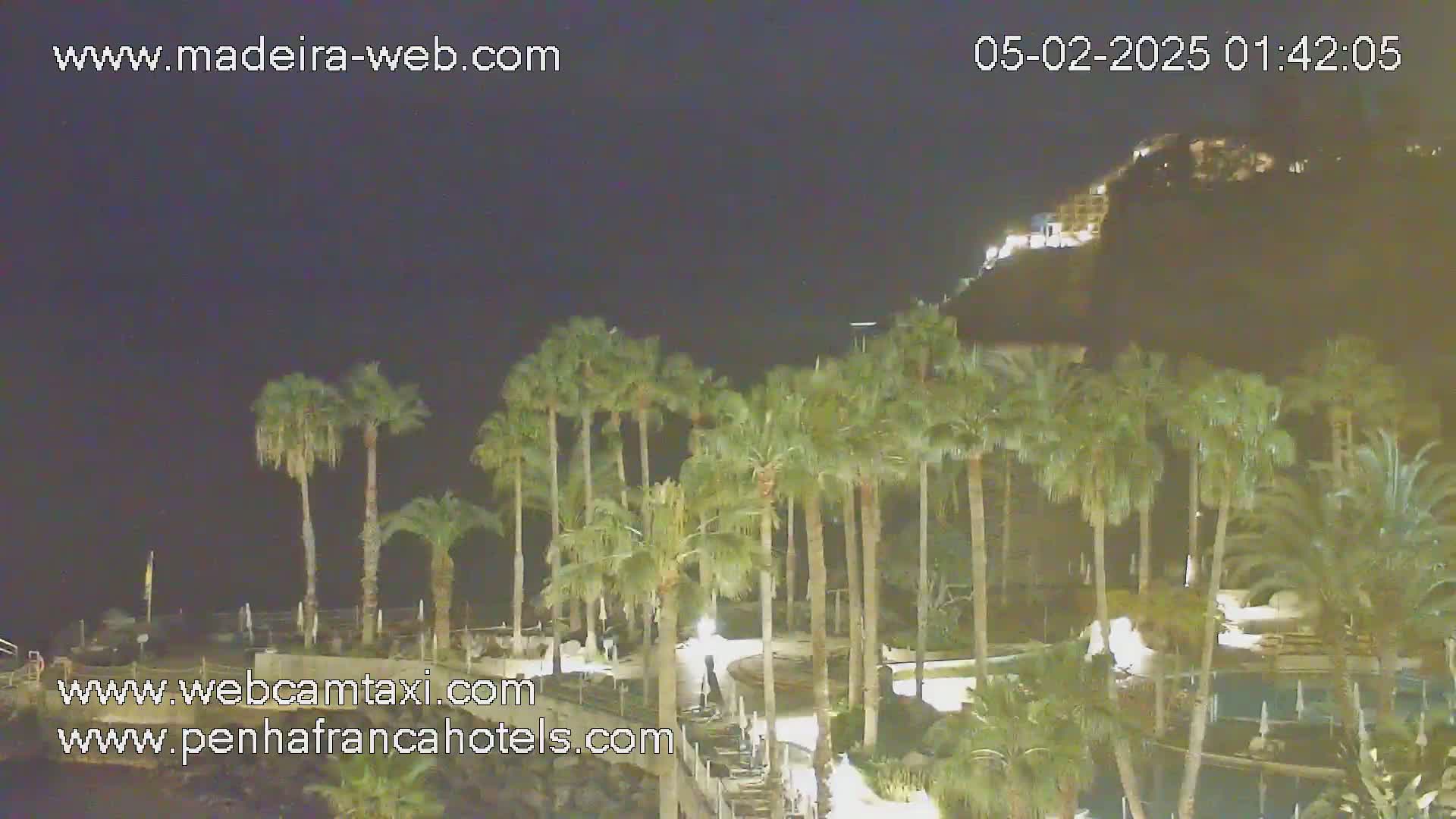 A nighttime view of palm trees and a hilltop illuminated with lights, under a clear, dark sky.