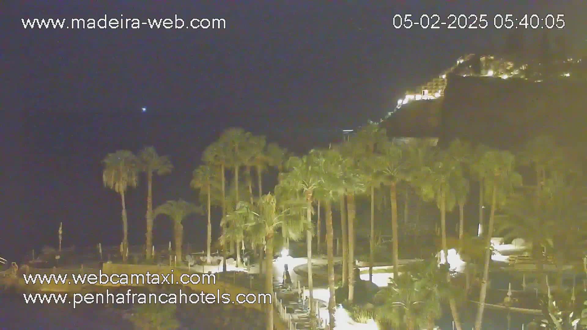 A nighttime view of palm trees illuminated near a dark, cliffside building under a clear sky.