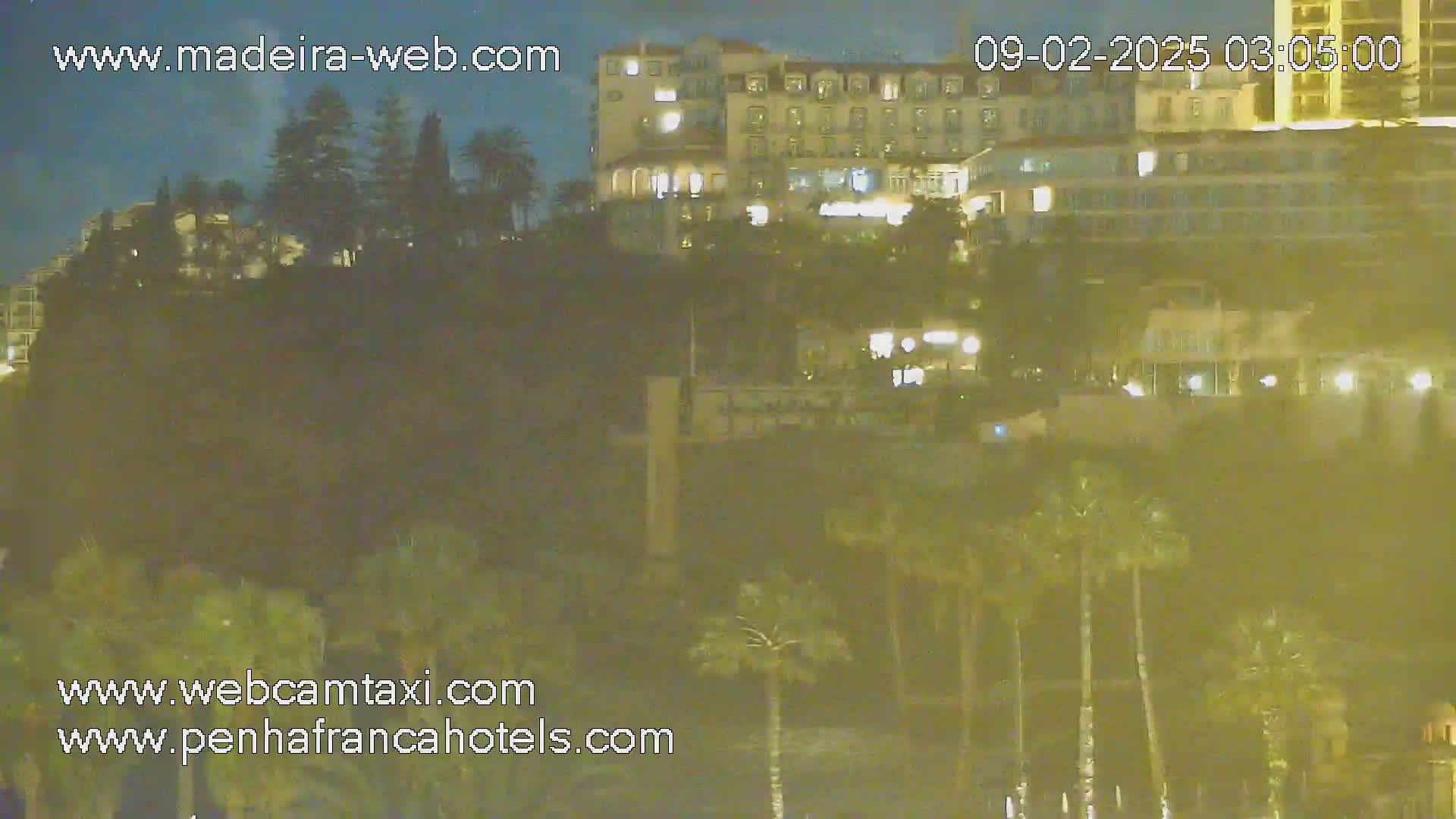 A nighttime view of a large hotel and surrounding vegetation under a dark sky.