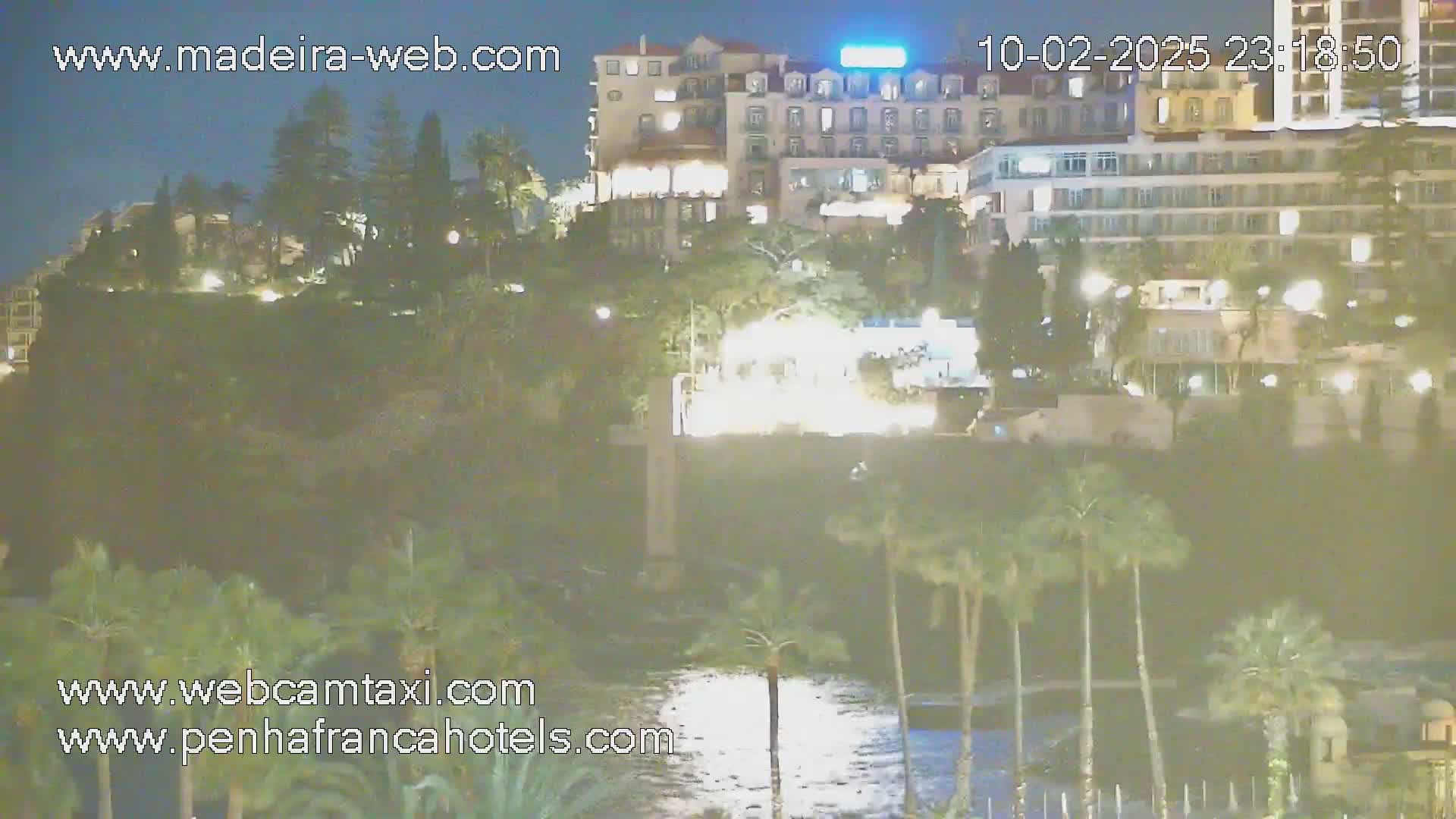 A nighttime view of a city with buildings lit up on a hillside overlooking a calm body of water, with palm trees in the foreground.