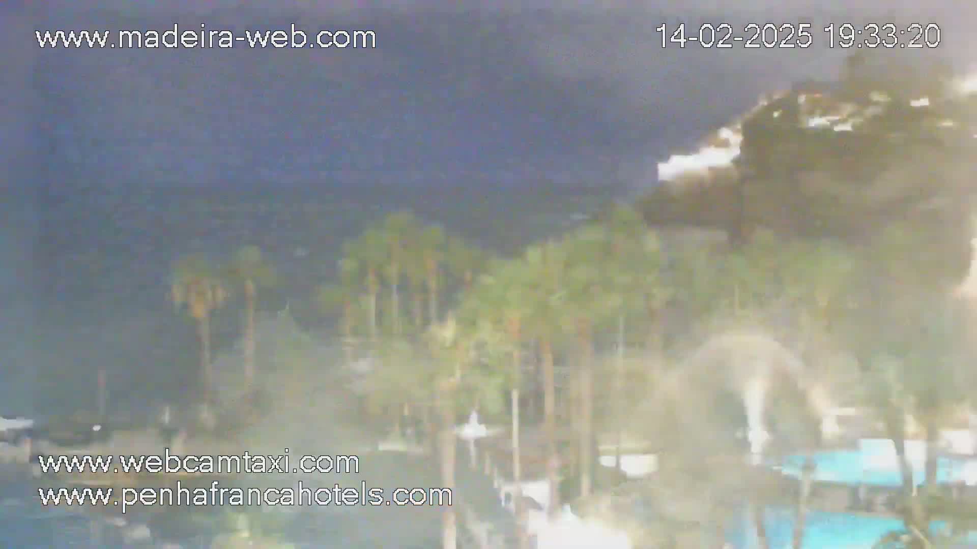 A nighttime, blurry view of palm trees near a body of water under a dark sky.