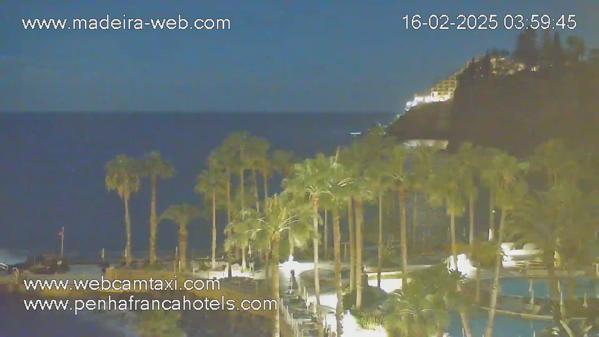A nighttime view of a dark ocean, a cliff with buildings on top, and a row of palm trees in front of a resort area under a clear, dark sky.
