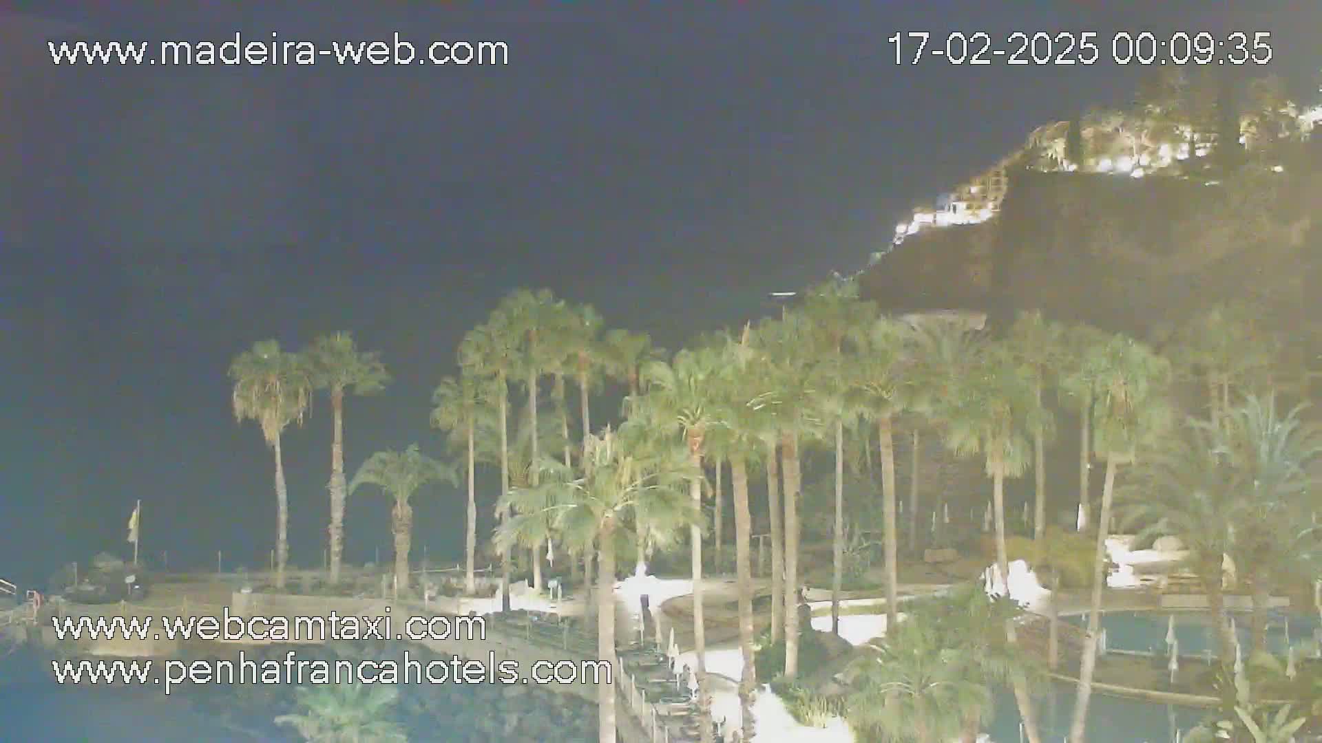 A nighttime view of a coastal area with palm trees, a swimming pool, and buildings lit up on a hillside.