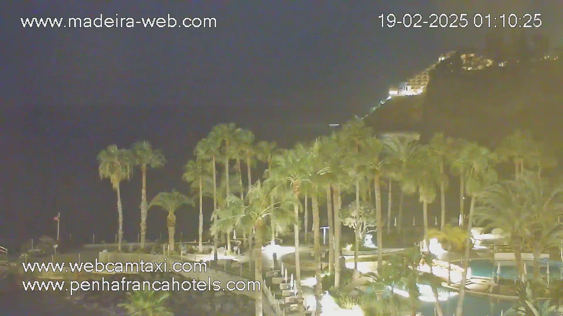 A nighttime view of a resort area with palm trees, a pool, and buildings on a hillside under a clear, dark sky.