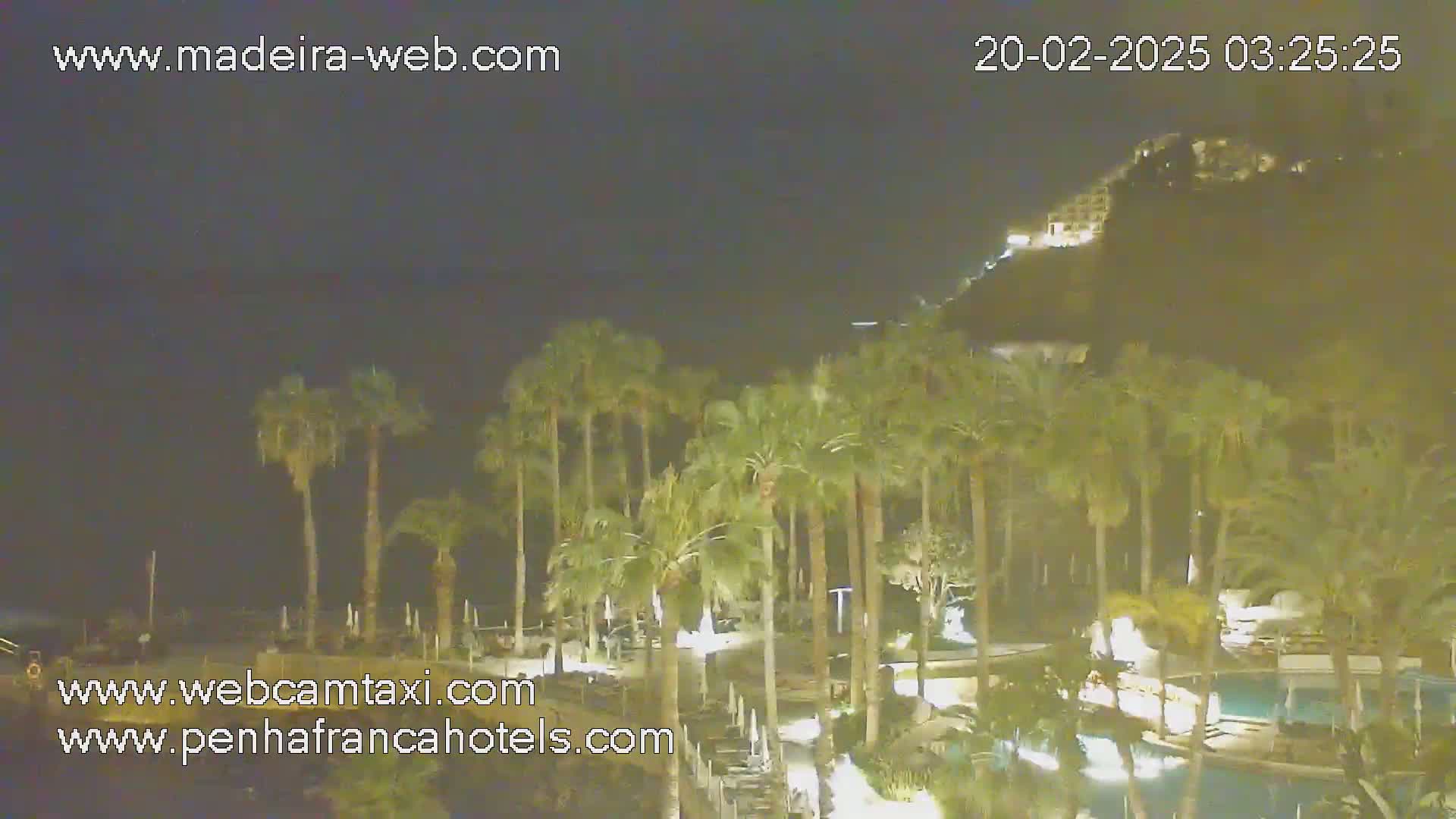 A nighttime view of palm trees surrounding a swimming pool and a hilltop building, under a clear, dark sky.