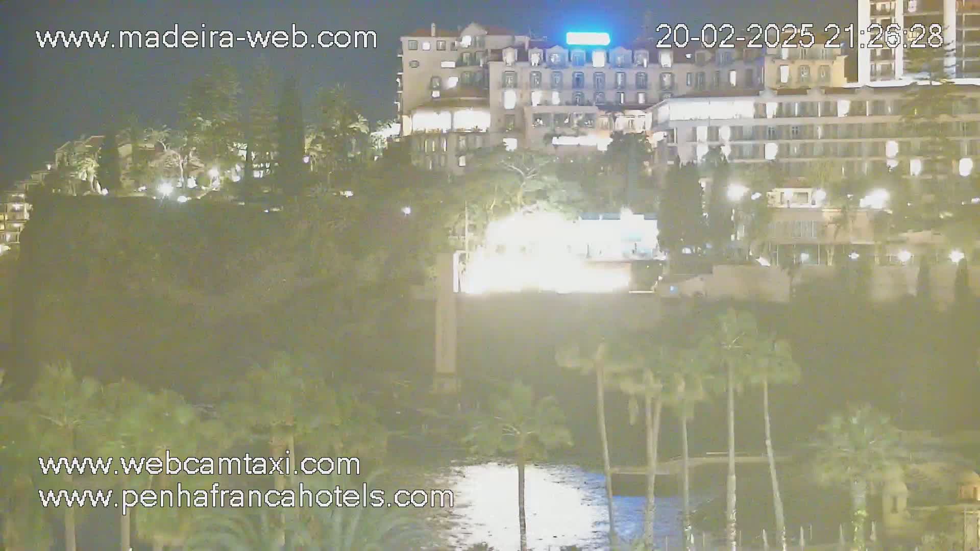 A nighttime view of a city with buildings illuminated, lush vegetation, and palm trees near a body of water under a dark sky.