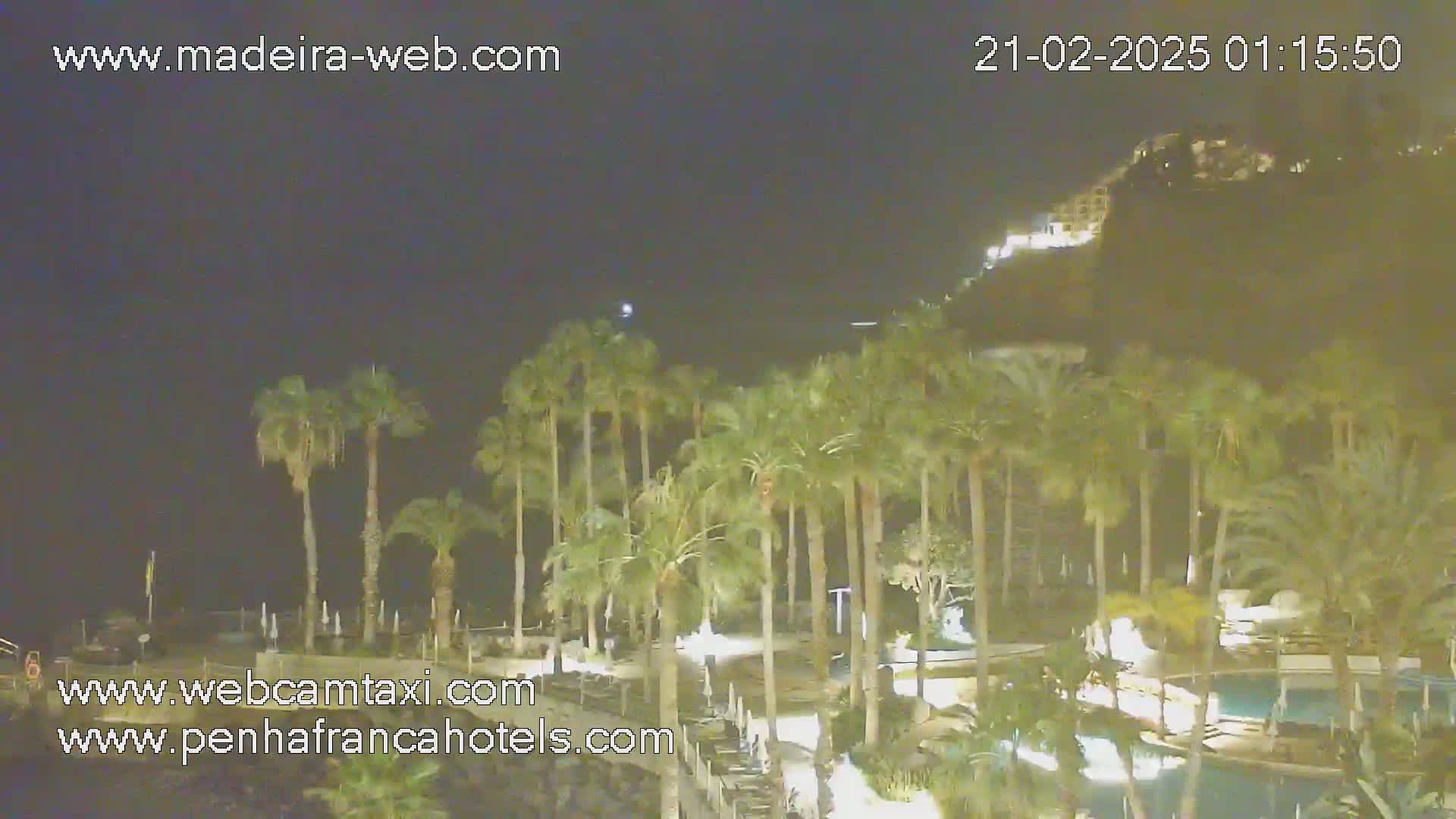 A nighttime view of palm trees surrounding a swimming pool area with a hill illuminated in the background under a clear night sky.