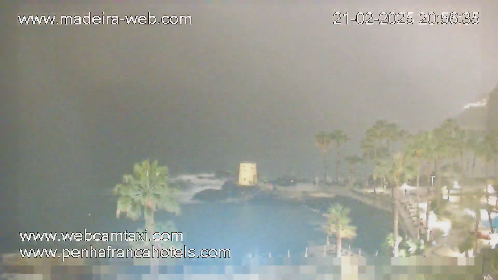 A nighttime coastal scene shrouded in fog or mist shows palm trees, a small tower, and a rocky shoreline with waves.