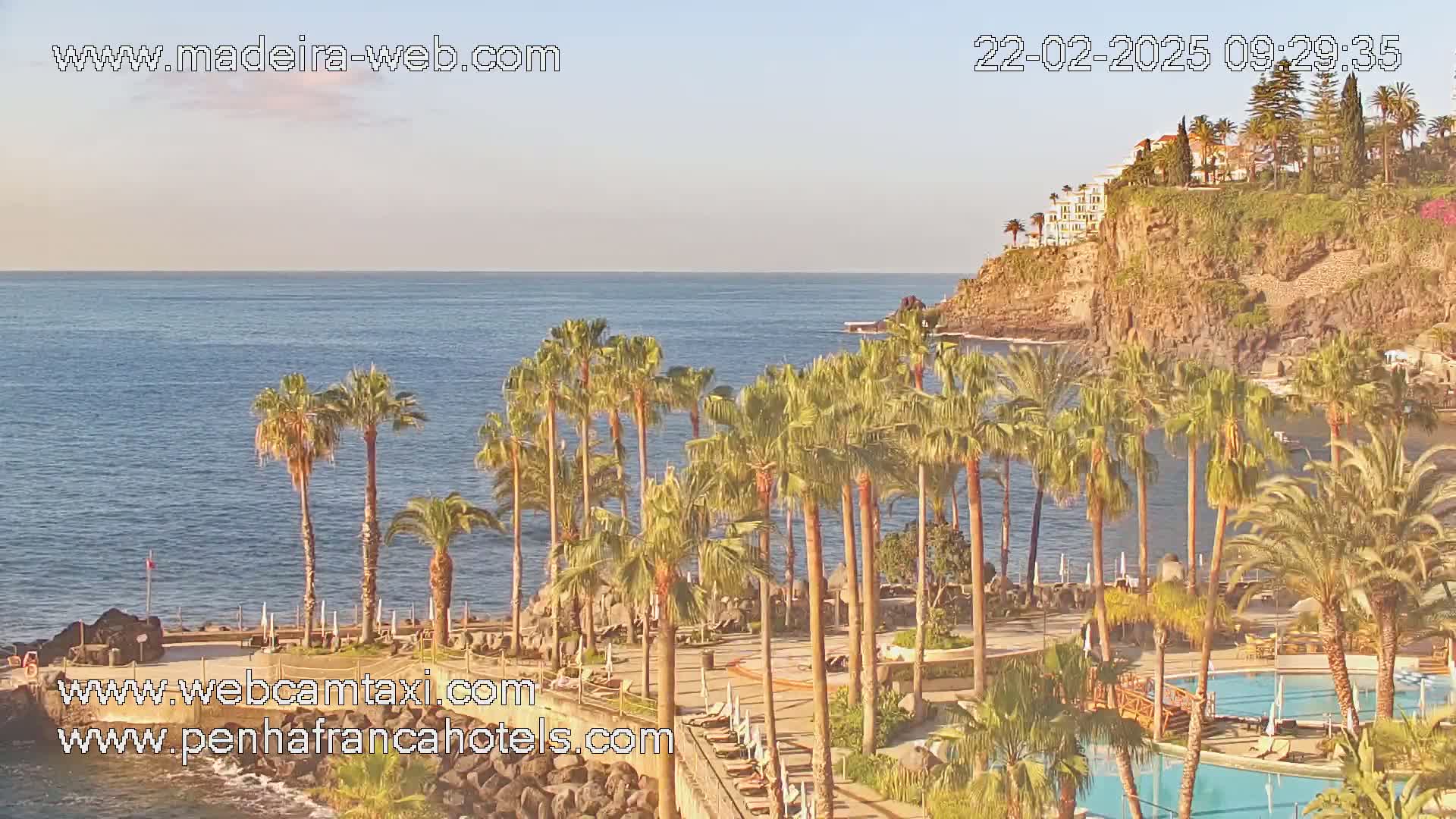 A tranquil coastal scene shows palm trees lining a resort pool area overlooking a calm ocean and a cliffside with buildings.