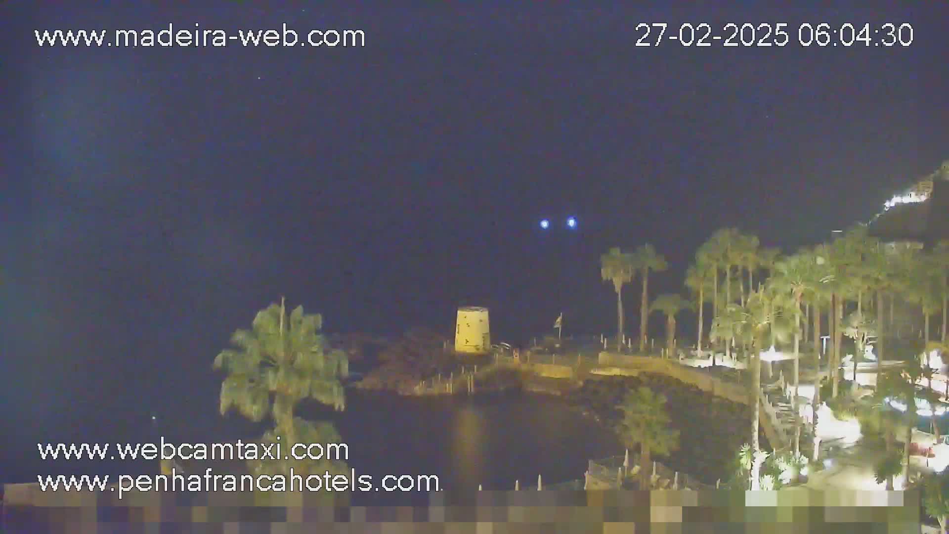 A nighttime view of a coastal area with palm trees, a small structure near the water, and a dark, clear sky.